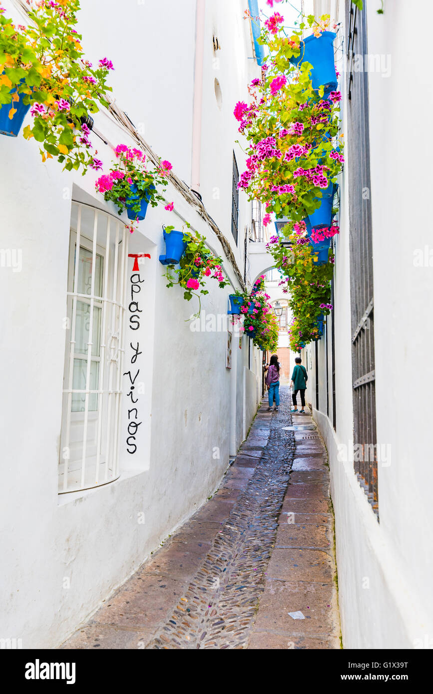 Straße Judenviertel. Córdoba, Andalusien, Spanien, Europa Stockfoto