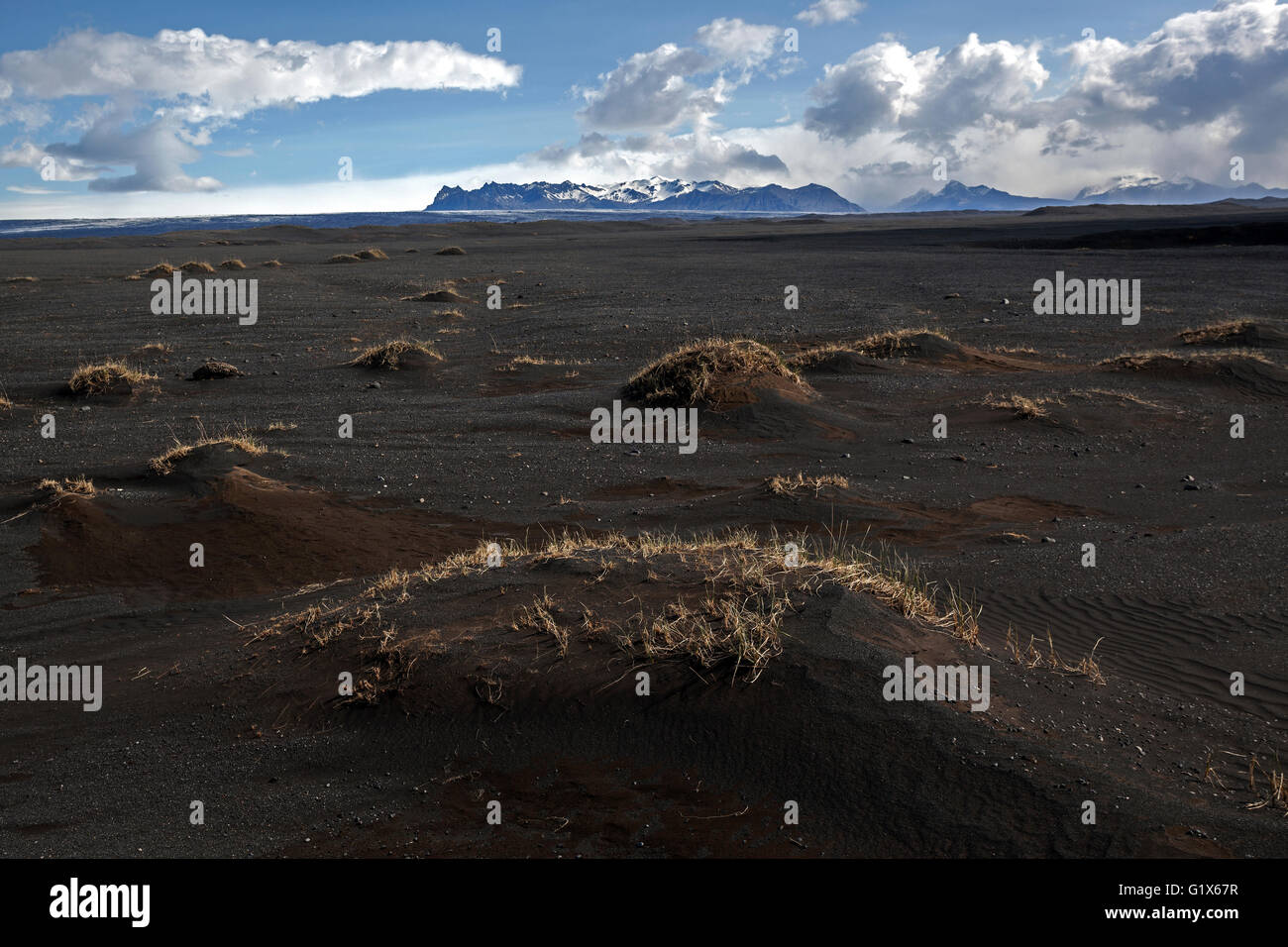 Vulkanischen Sand schlicht Skeidararsandur, Region Süd, Island Stockfoto