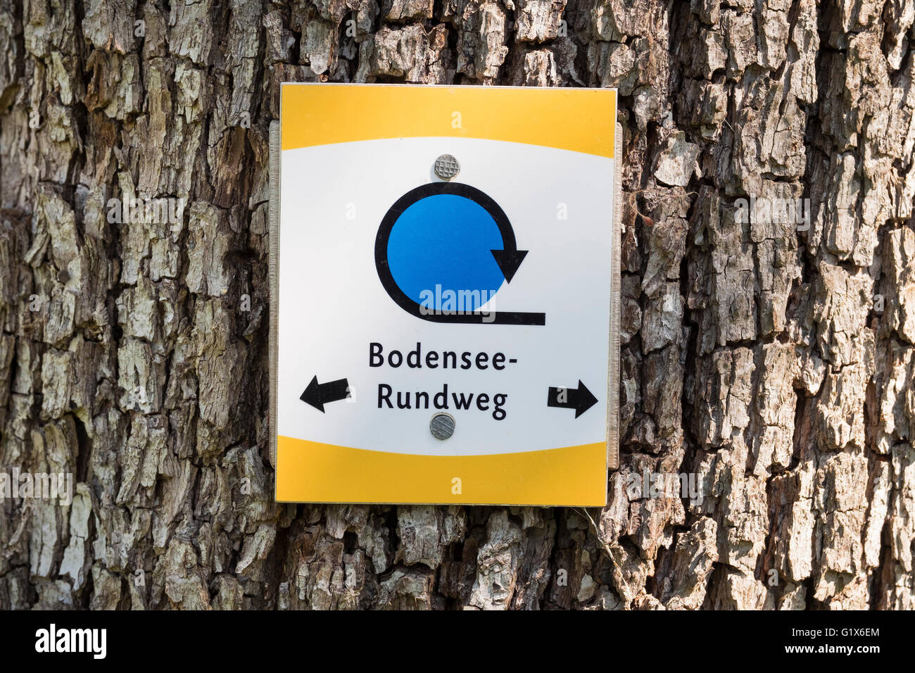 Zeichen-Bodensee Rundweg auf Baum in Langenargen, Schwaben, Baden-Württemberg, Deutschland Stockfoto