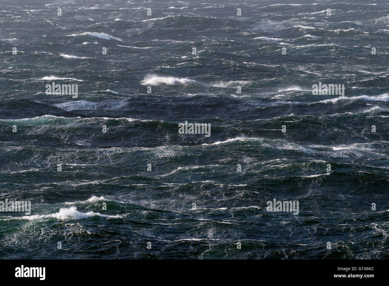 Mäßig Seegang, Wellen mit Schaumkronen, Meeresoberfläche, Nordatlantik, Atlantik Stockfoto
