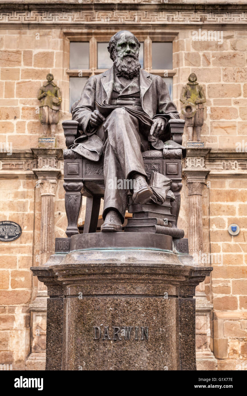 Bronzestatue der Naturforscher Charles Darwin außerhalb der Schule, die er besucht, die jetzt eine Bibliothek in Shrewsbury, Shropshire, England. Stockfoto