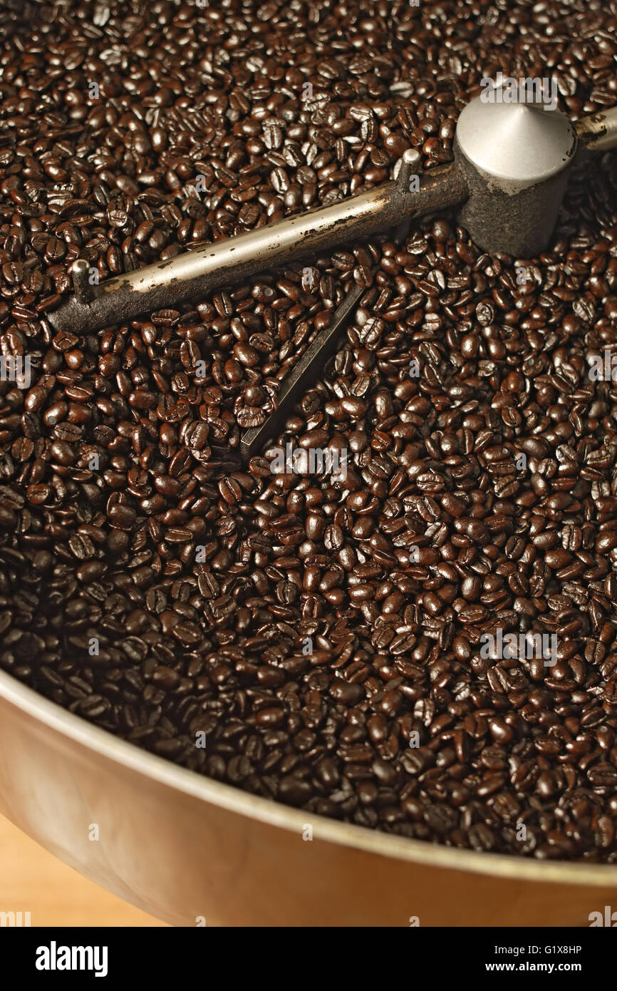 Die frisch gerösteten Bohnen aus einem großen Kaffeeröster, kurz bevor die Bohnen in die Kühlwalze gerührt werden. Bohnen sind shin Stockfoto