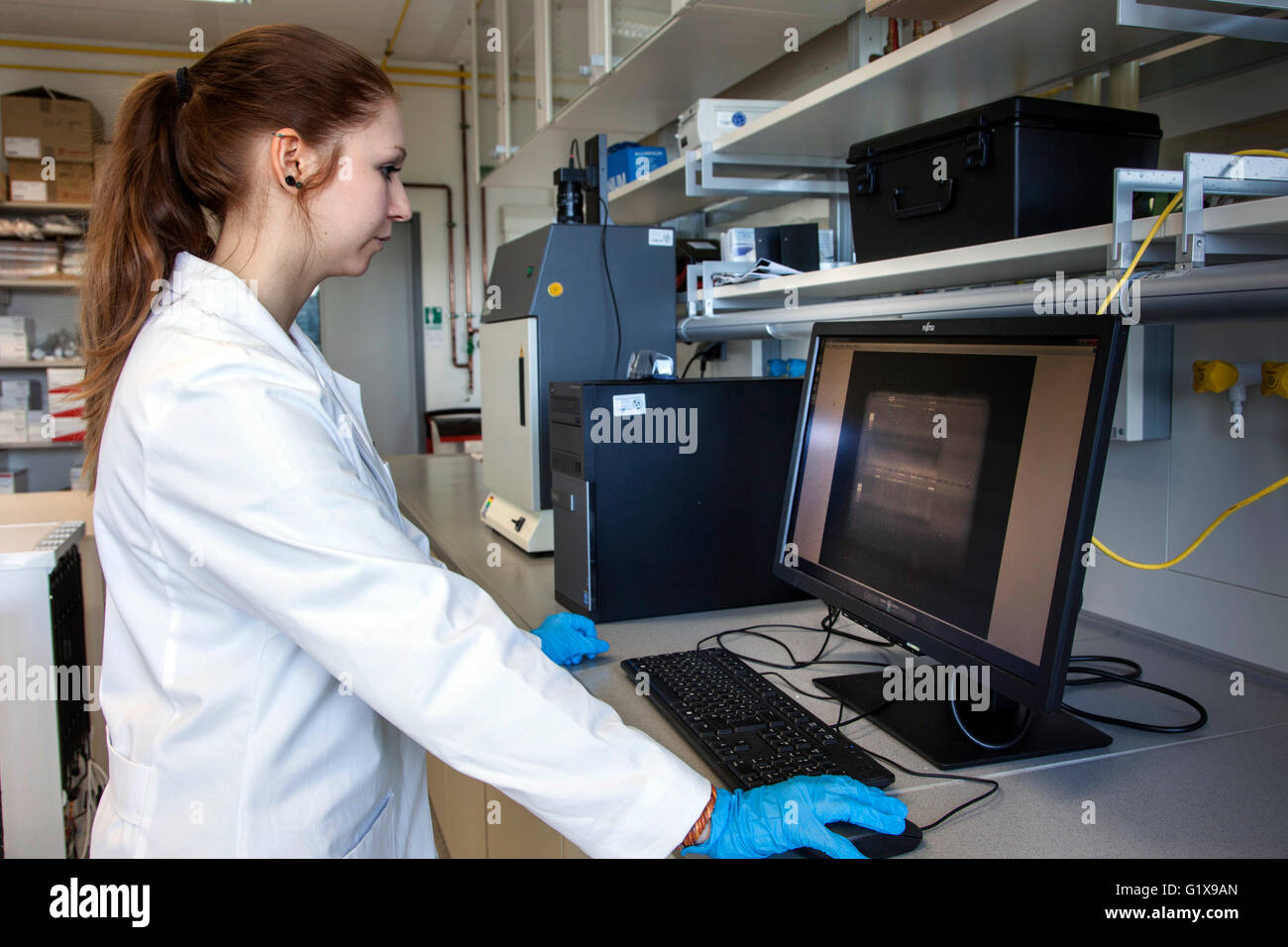 Wissenschaftlicher Mitarbeiter kontrolliert DNA-Strukturen in einem Gen-Labor Stockfoto