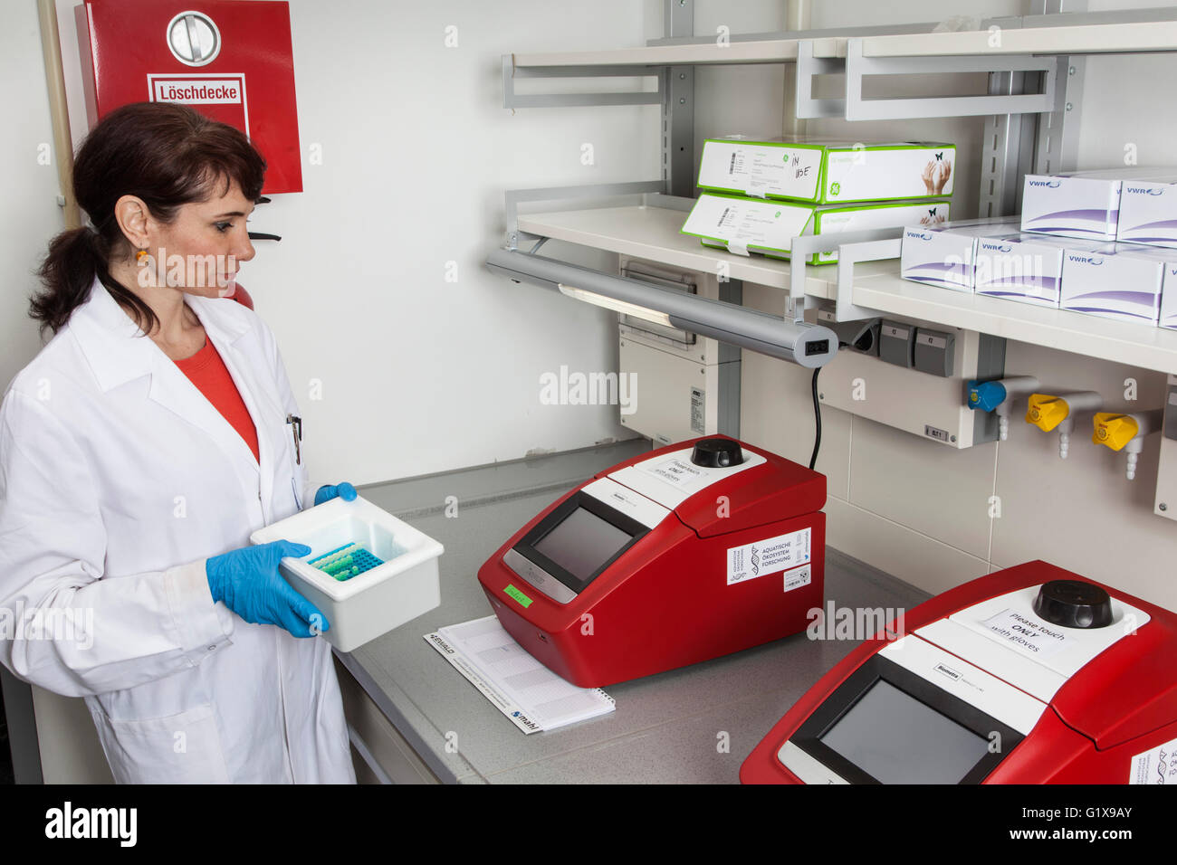 Forscher an einer qualitativ hochwertigen Analysensystem für die PCR (Polymerase-Kettenreaktion). Stockfoto