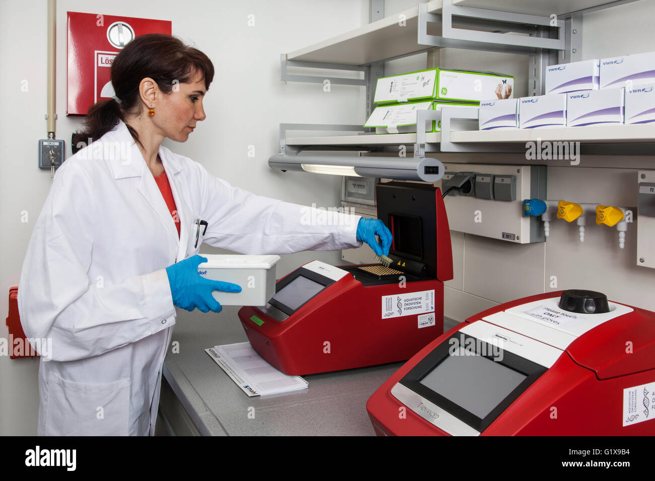 Forscher an einer qualitativ hochwertigen Analysensystem für die PCR (Polymerase-Kettenreaktion). Stockfoto