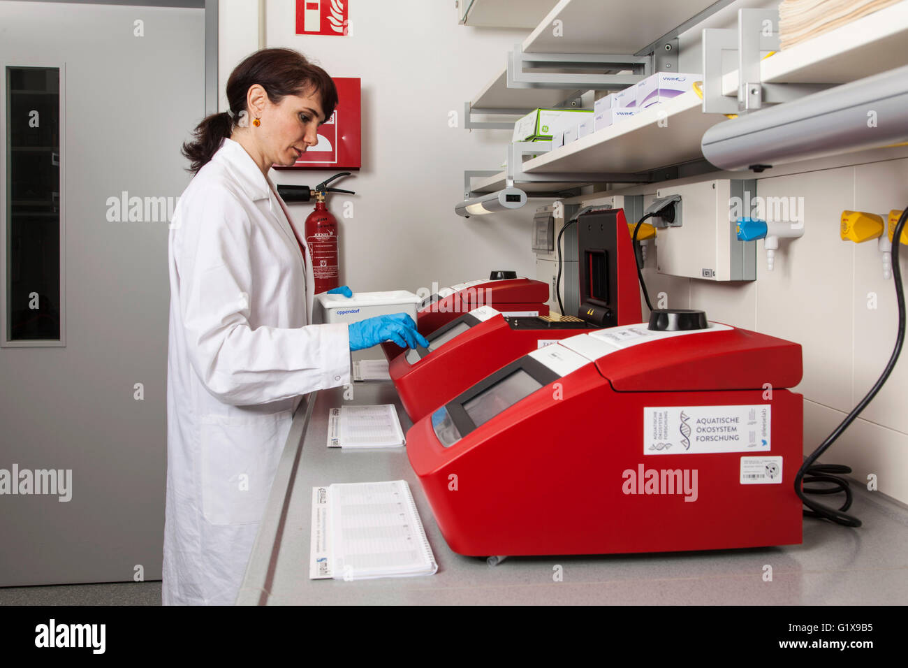 Forscher an einer qualitativ hochwertigen Analysensystem für die PCR (Polymerase-Kettenreaktion). Stockfoto