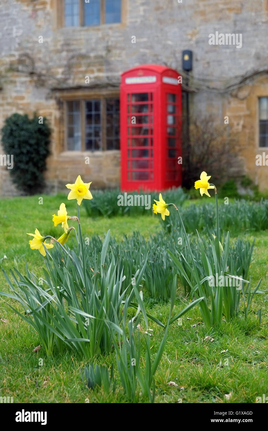 Rot Englisch Telefon Box und Narzissen, Montacute, Somerset, England, UK. Stockfoto