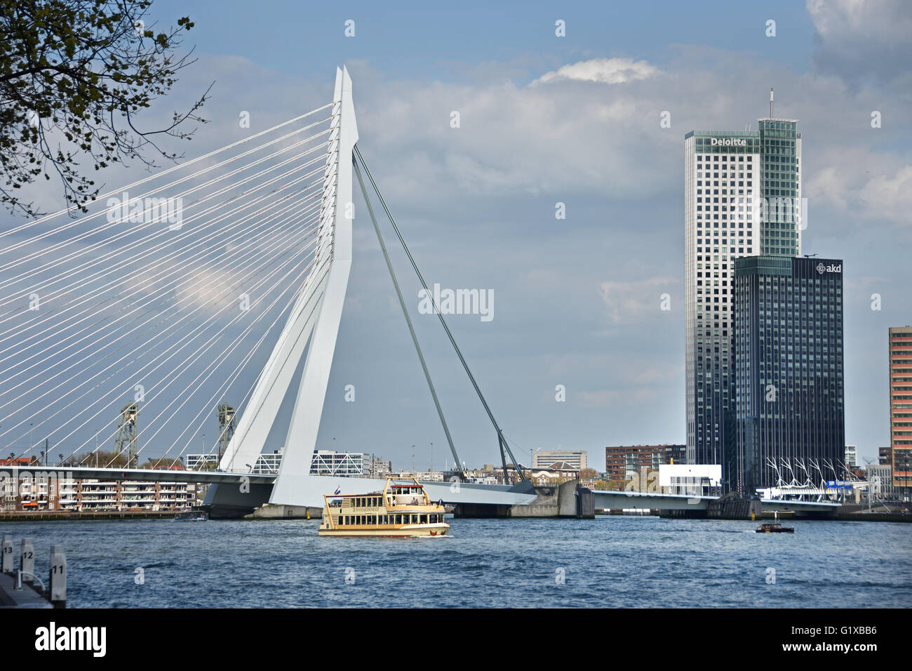 World Port Center (Kop van Zuid) Montevideo Rotterdam Niederlande niederländische (neue Maas Fluss Erasmus Brücke Schwan) Stockfoto