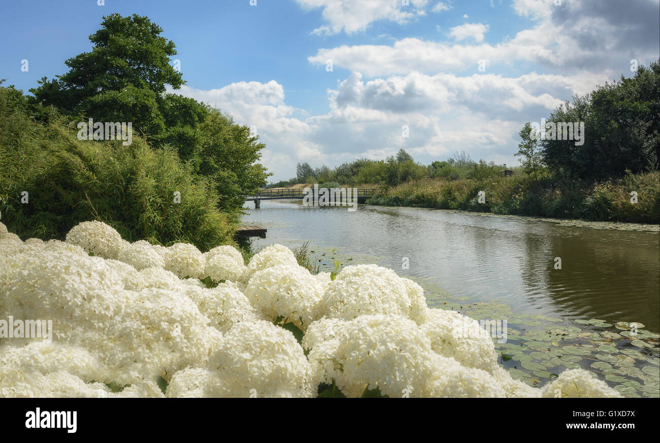 Garten panorama Fotos und Bildmaterial in hoher Auflösung Alamy