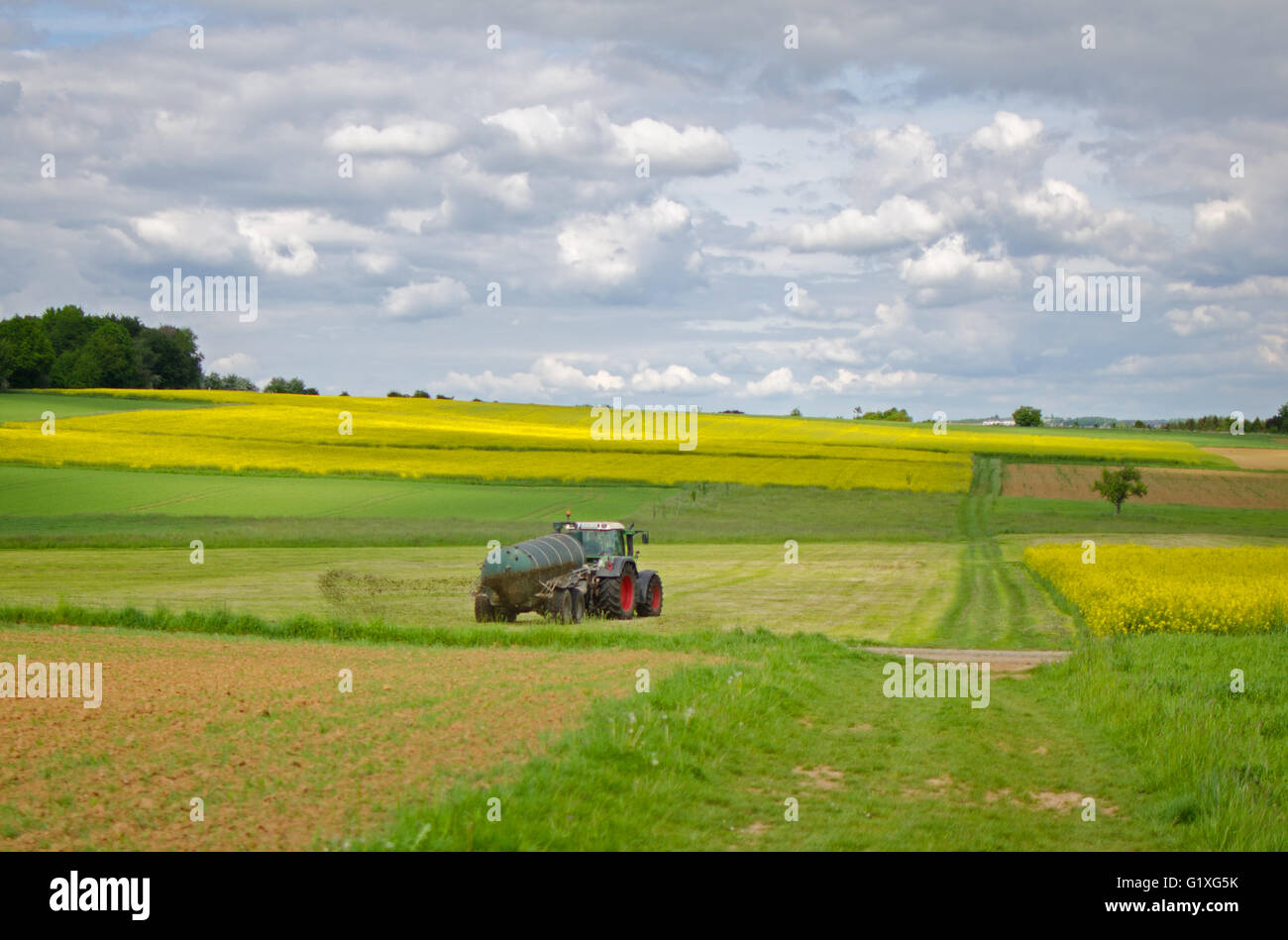 Traktor sprühen Gülle auf ein Feld der Ernte Stockfoto