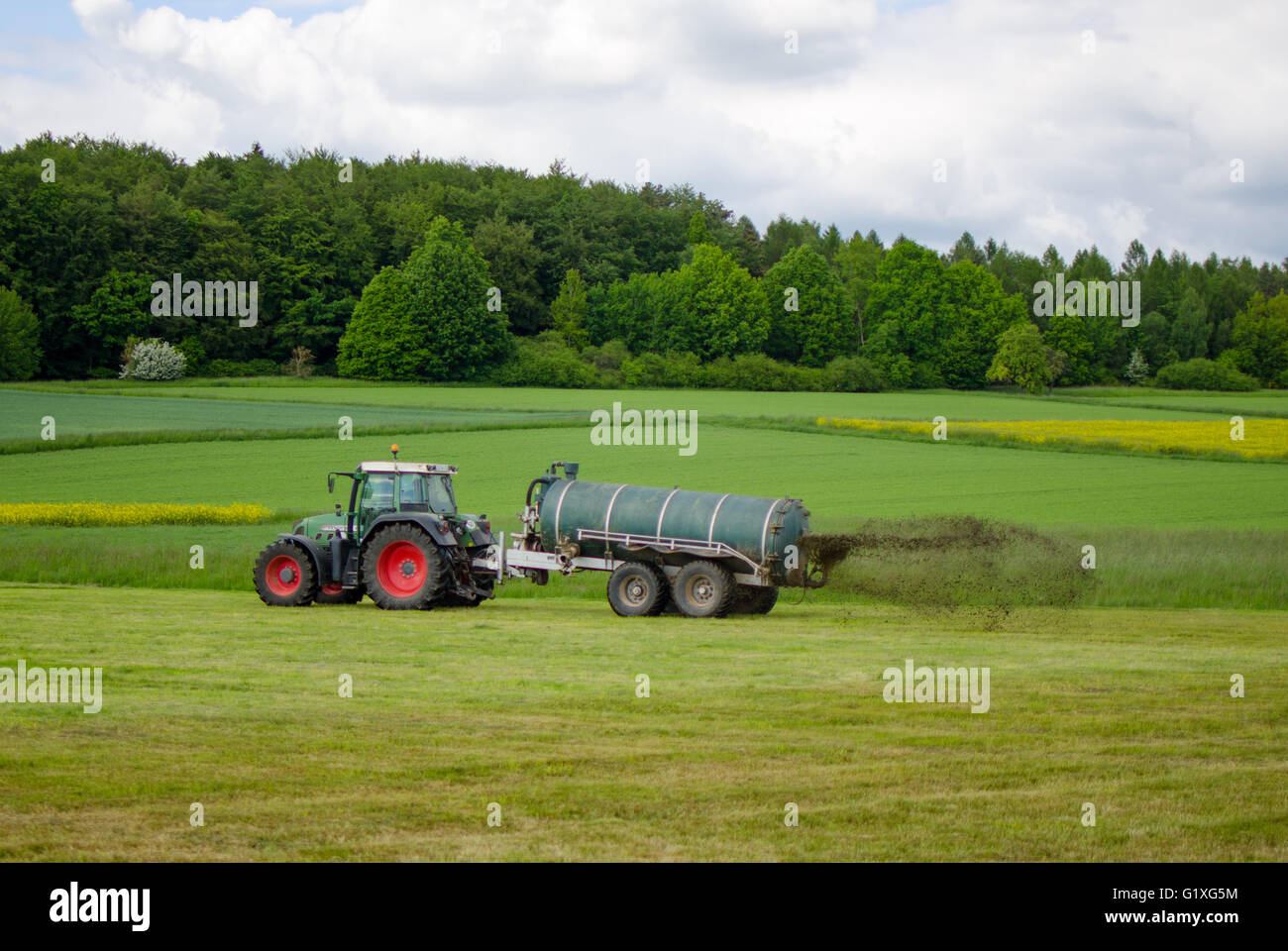 Traktor sprühen Gülle auf ein Feld der Ernte Stockfoto