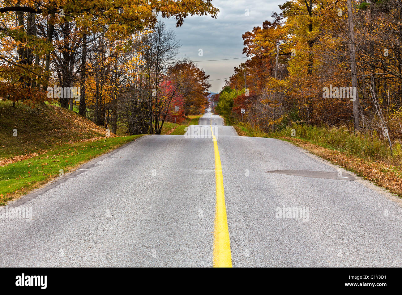 Straße mit bunten Bäumen Stockfoto