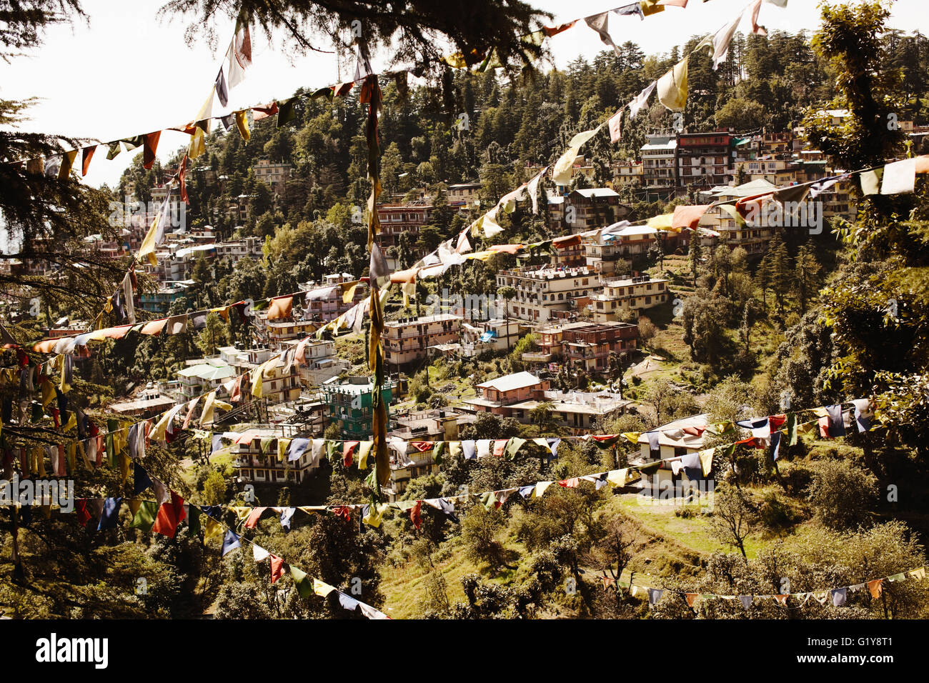 Tibetische Gebetsfahnen sind zwischen Bäumen in McLeod Ganj, Dharamsala, Indien gebunden. Stockfoto