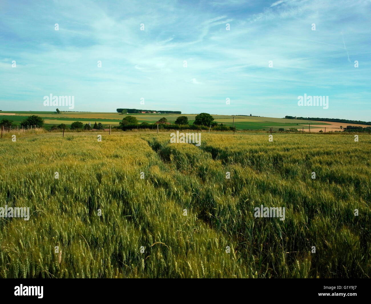 AJAXNETPHOTO. 2015. SOMME, FRANKREICH. -SCHLACHTFELD - IN RICHTUNG THIEPVAL UND ULSTER TURM GEDENKSTÄTTEN (RECHTS) UND DER GRAT ÜBER DIE BRITISCHEN TRUPPEN, GEGEN DEN FEIND VORRÜCKTEN AUF 1. JULI 1916 AM ERSTEN TAG DER SCHLACHT AN DER SOMME.  FOTO: JONATHAN EASTLAND/AJAX REF: G152609 4974 Stockfoto