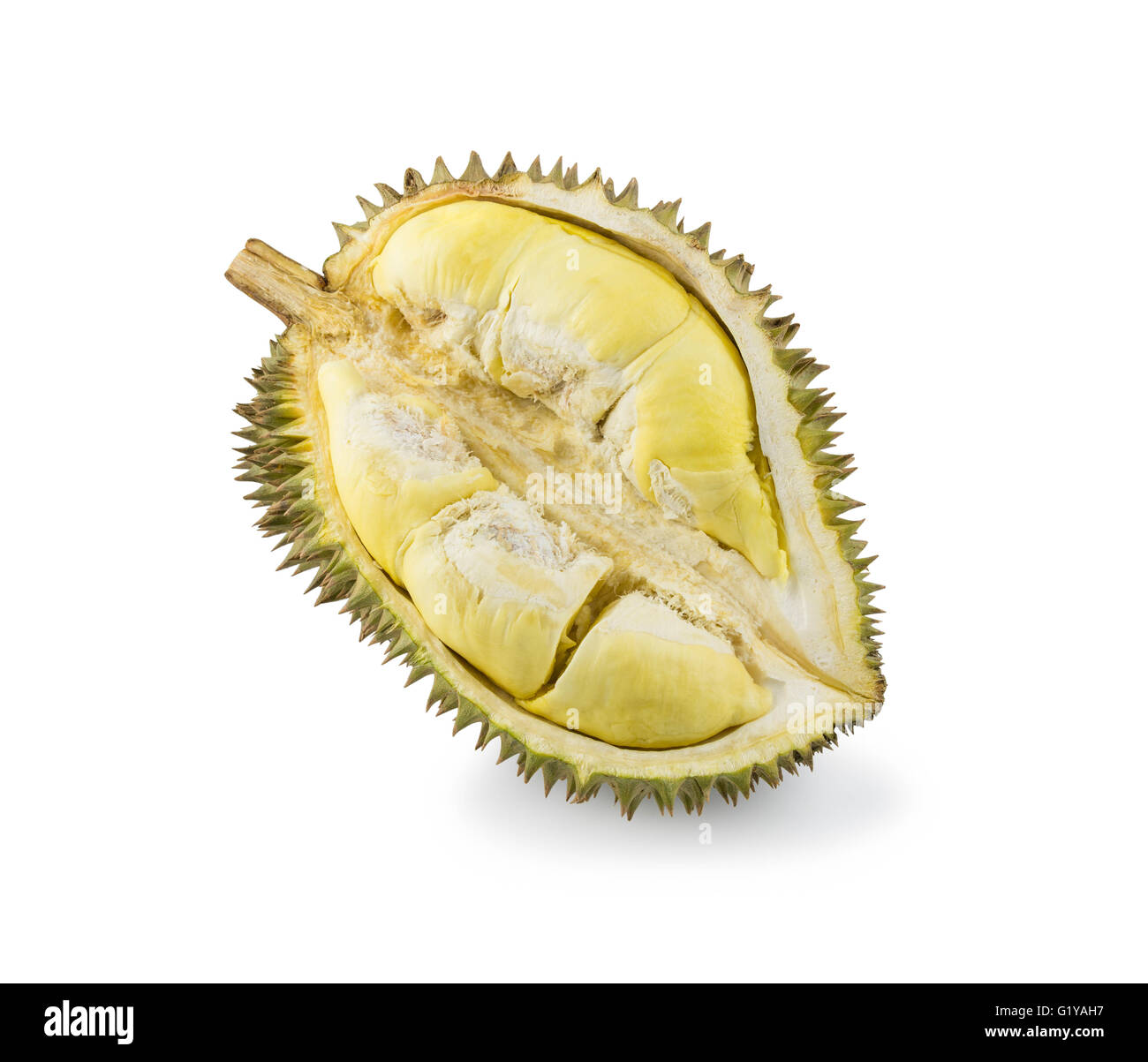 Gelbe Durian in Seite Mon Thong Durian Frucht auf weißem Hintergrund Stockfoto