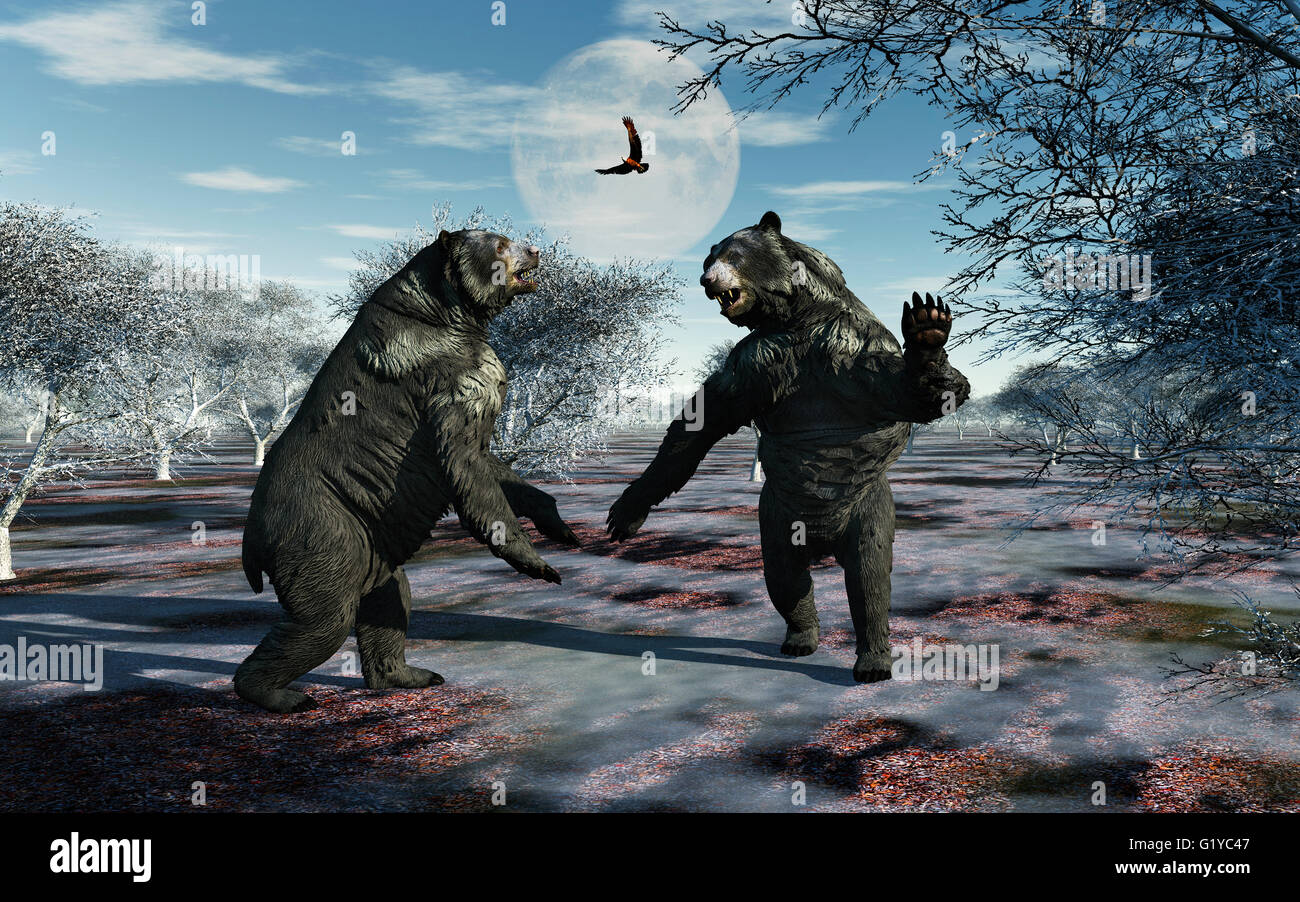 Arctodus Bären, Bären auch bekannt als kurze konfrontiert. Territoriale Streitigkeiten beteiligt. Stockfoto