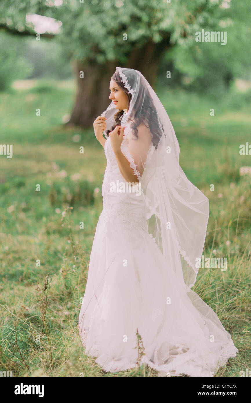 Schöne Braut im weißen Kleid mit Schleier, Frühlingsgrün Park im Hintergrund spielen Stockfoto
