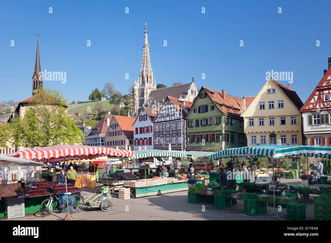 Markt auf dem Marktplatz von Esslingen, Frauenkirche, Baden-Württemberg, Deutschland Stockfoto