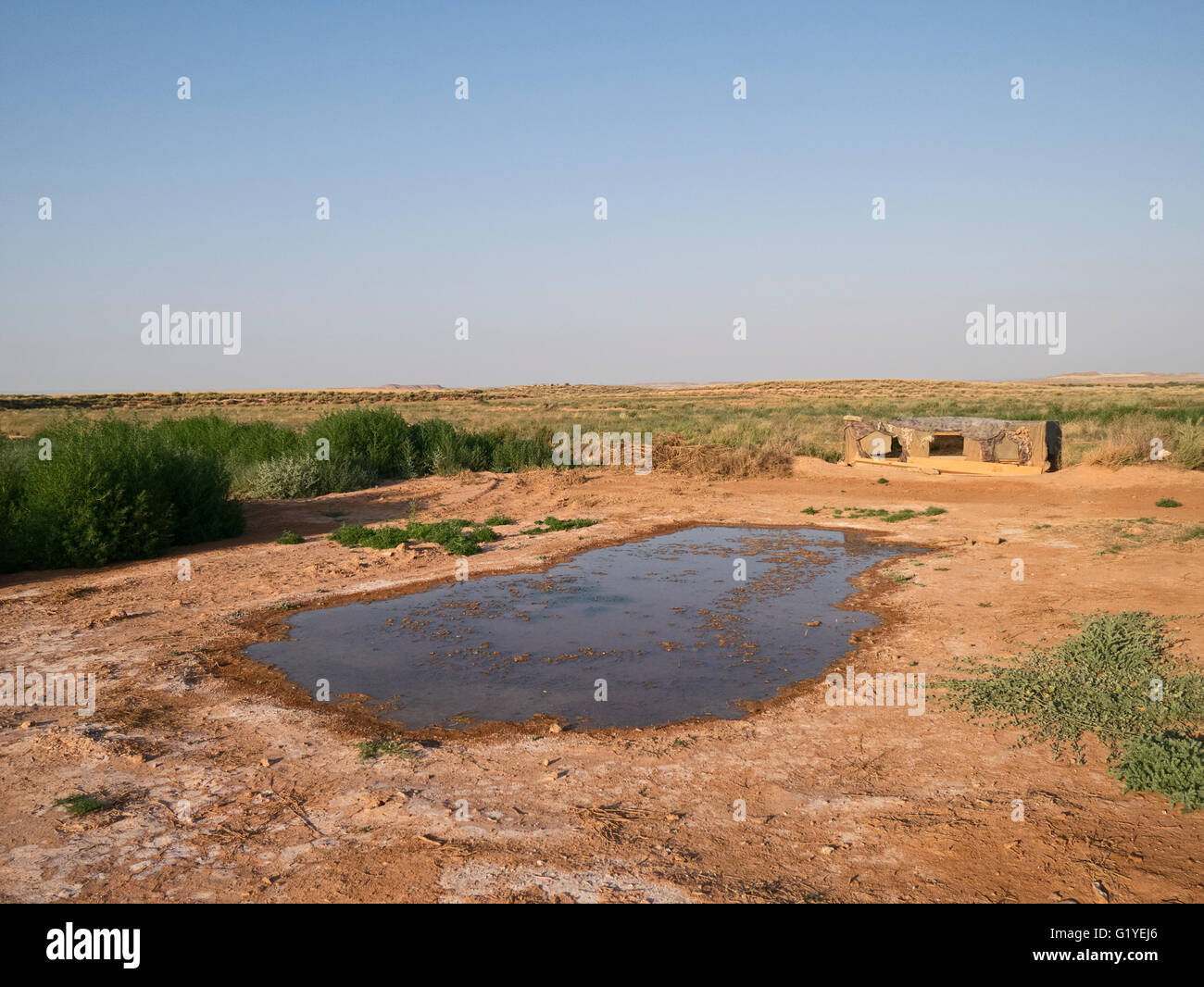 Pool und niedrigem Niveau verstecken sich in El Planeron Reserve, Belchite, Aragon Spanien Juli Stockfoto