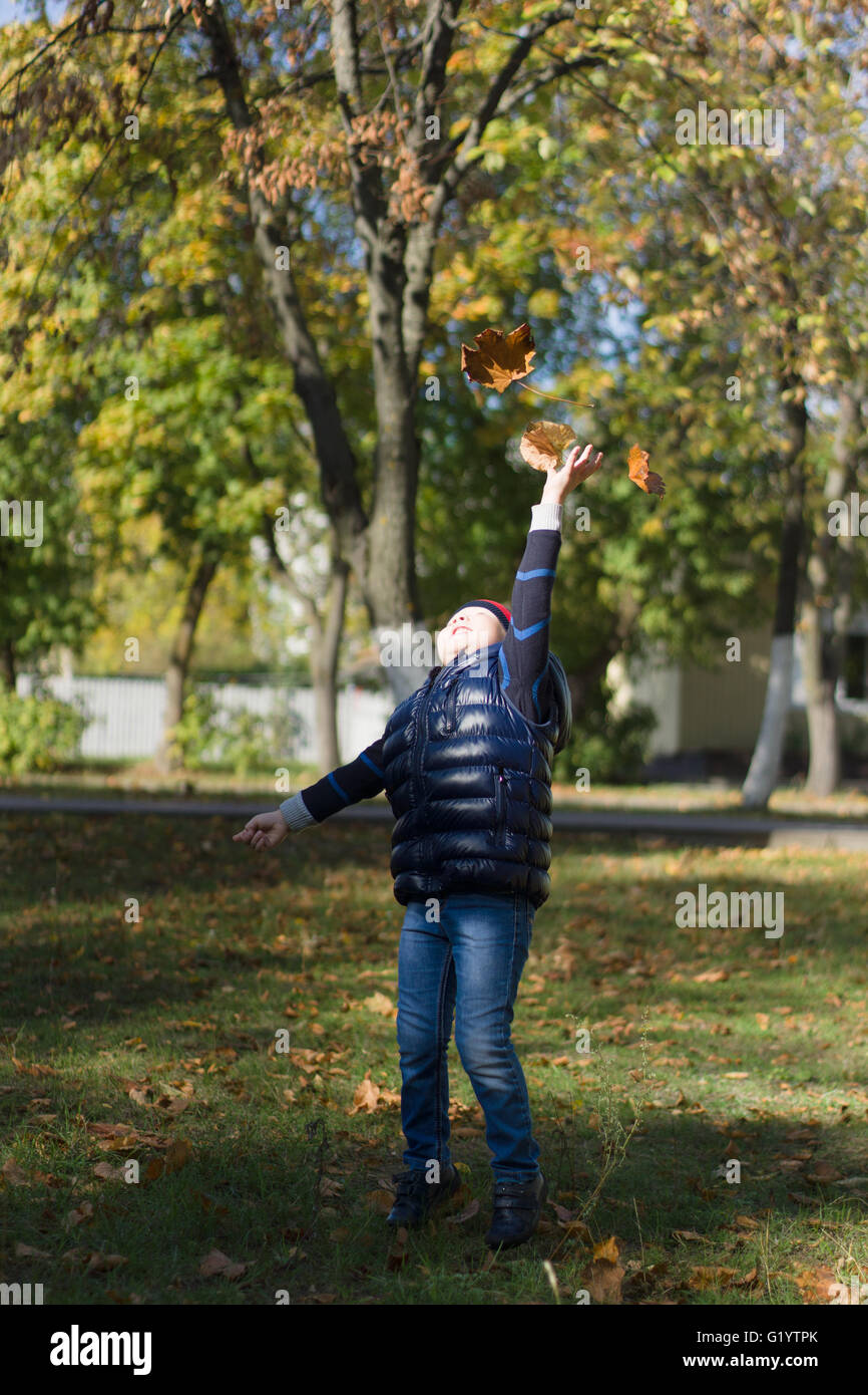 der kleine Junge geht auf den Herbst Stadt mit gelben Blättern Stockfoto