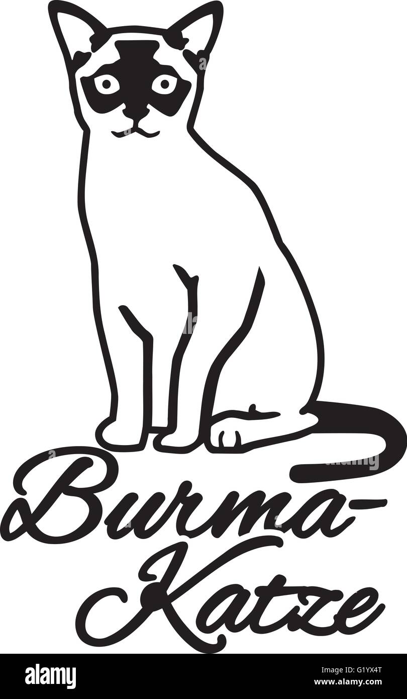 Birmanische Katze mit deutschen Namen Stock Vektor