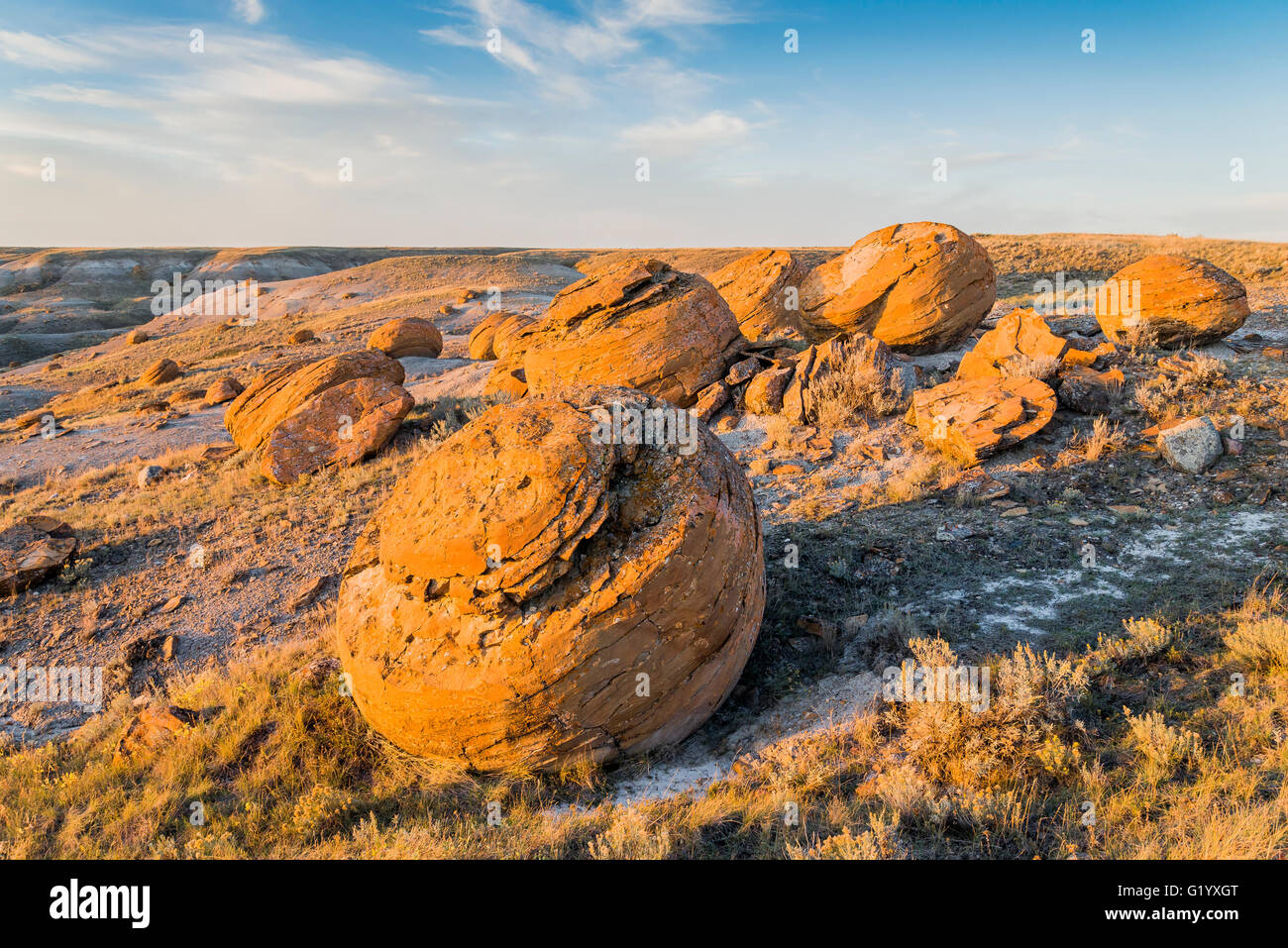 Großen Sandstein Konkretionen, Red Rock Coulee Naturraum, Alberta, Kanada Stockfoto