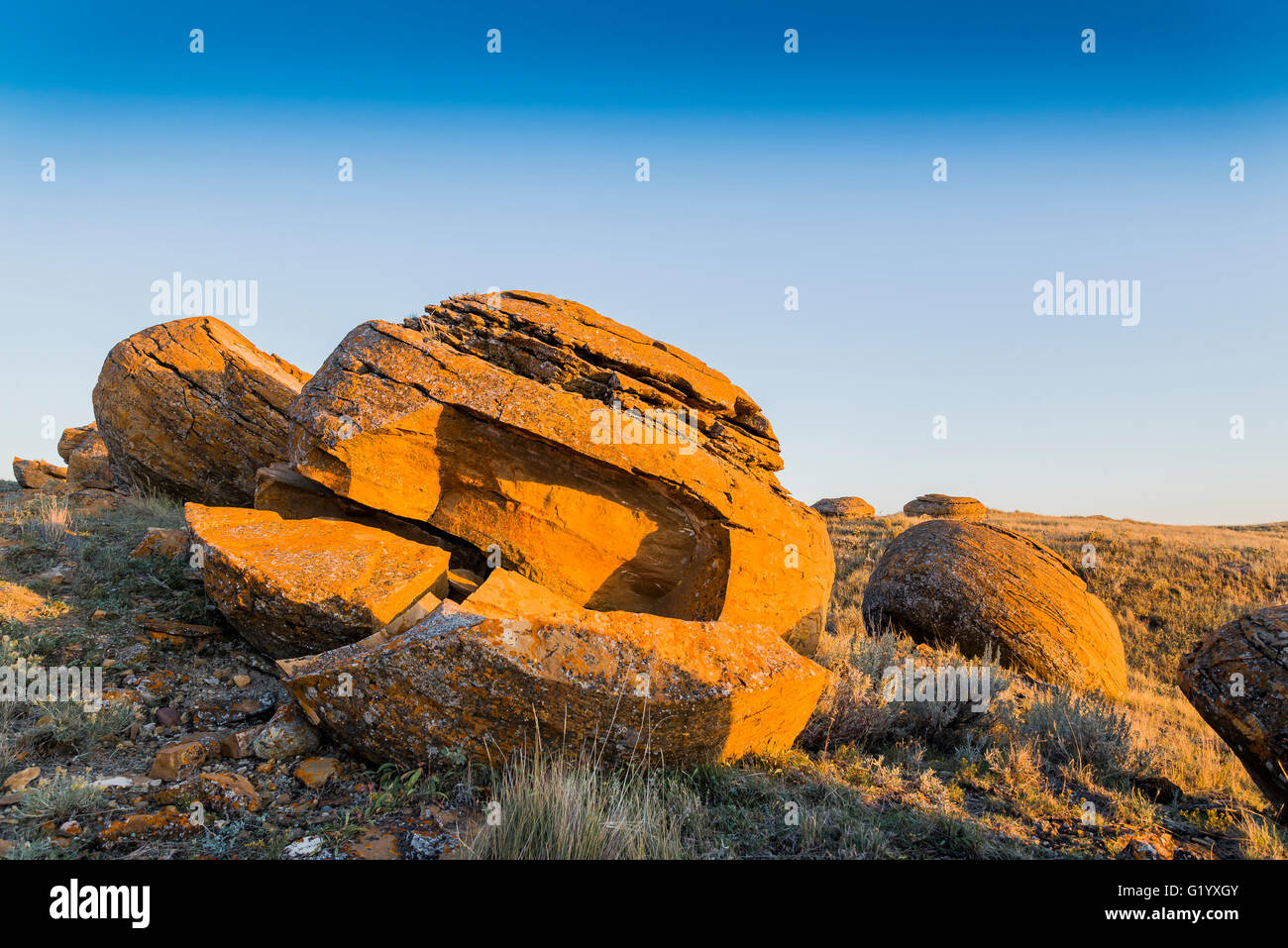 Großen Sandstein Konkretionen, Red Rock Coulee Naturraum, Alberta, Kanada Stockfoto