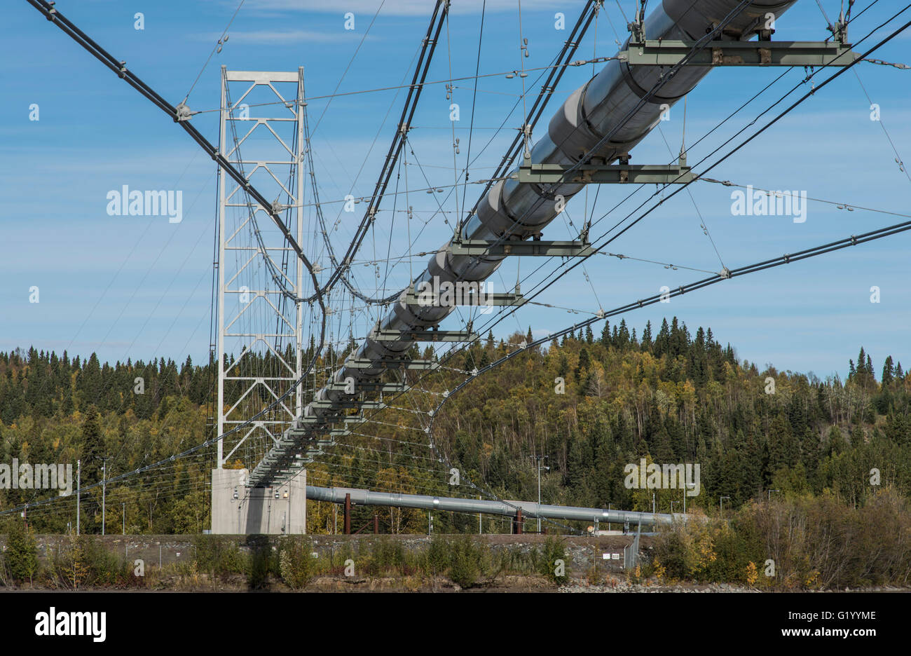 Trans-Alaska-pipeline Stockfoto