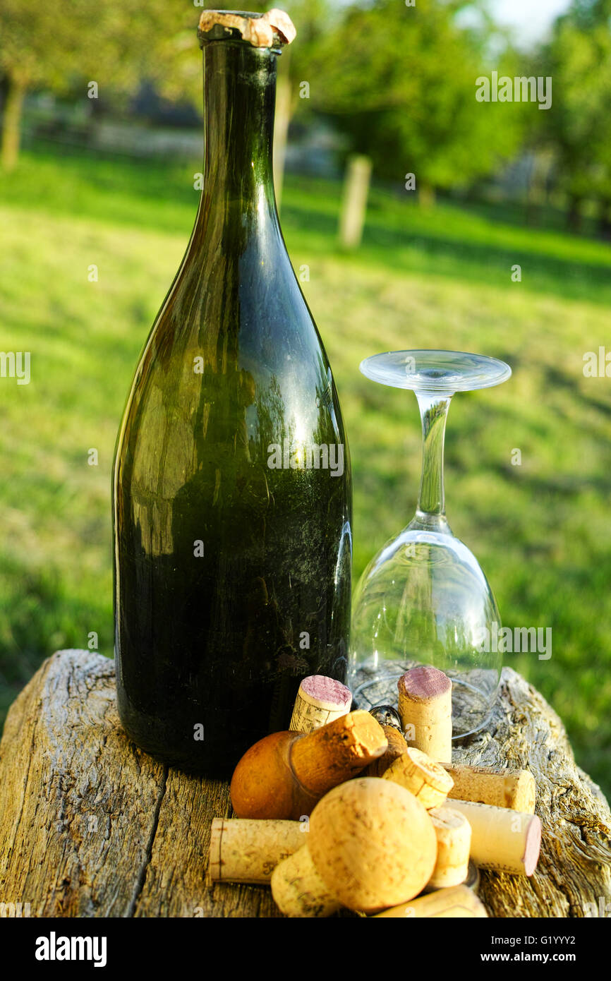 Alten verwendet Wein Korken, Apfelwein Flasche und Glas im Garten Normandie Frankreich Stockfoto