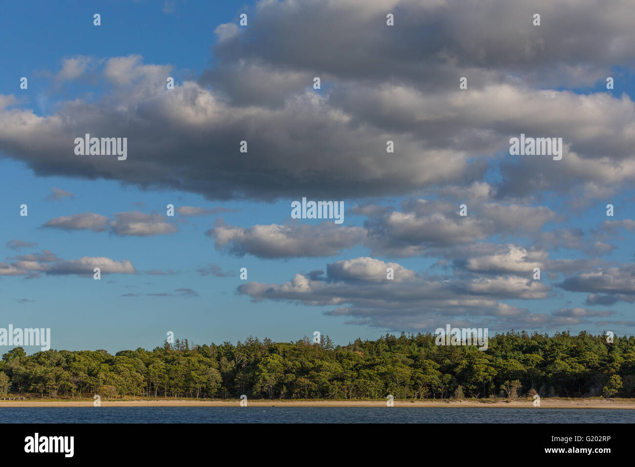 Bild aufgenommen am Nachmittag des Bäume, Strand, Wasser und Himmel mit Wolken Stockfoto