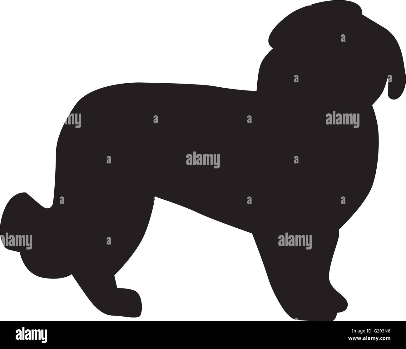Malteser Hund Silhouette Stock Vektorgrafik Alamy