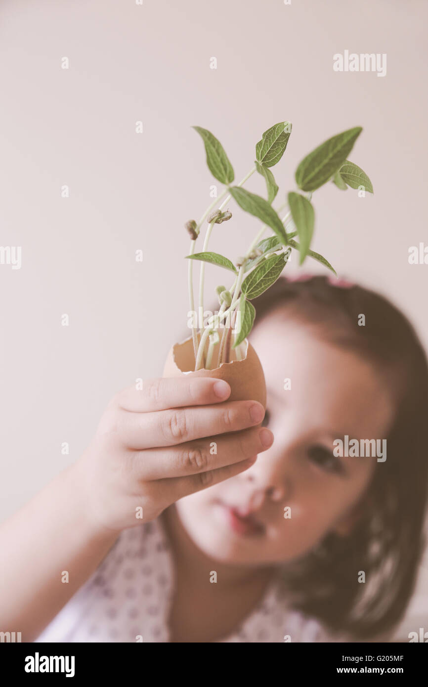 Ein Kleinkind Mädchen halten Jungpflanzen in Eierschale, Eco-Konzept Stockfoto