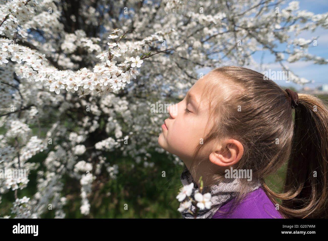 Kind Mädchen genießen Blossom Baum Geruch mit geschlossenen Augen von springtime Stockfoto