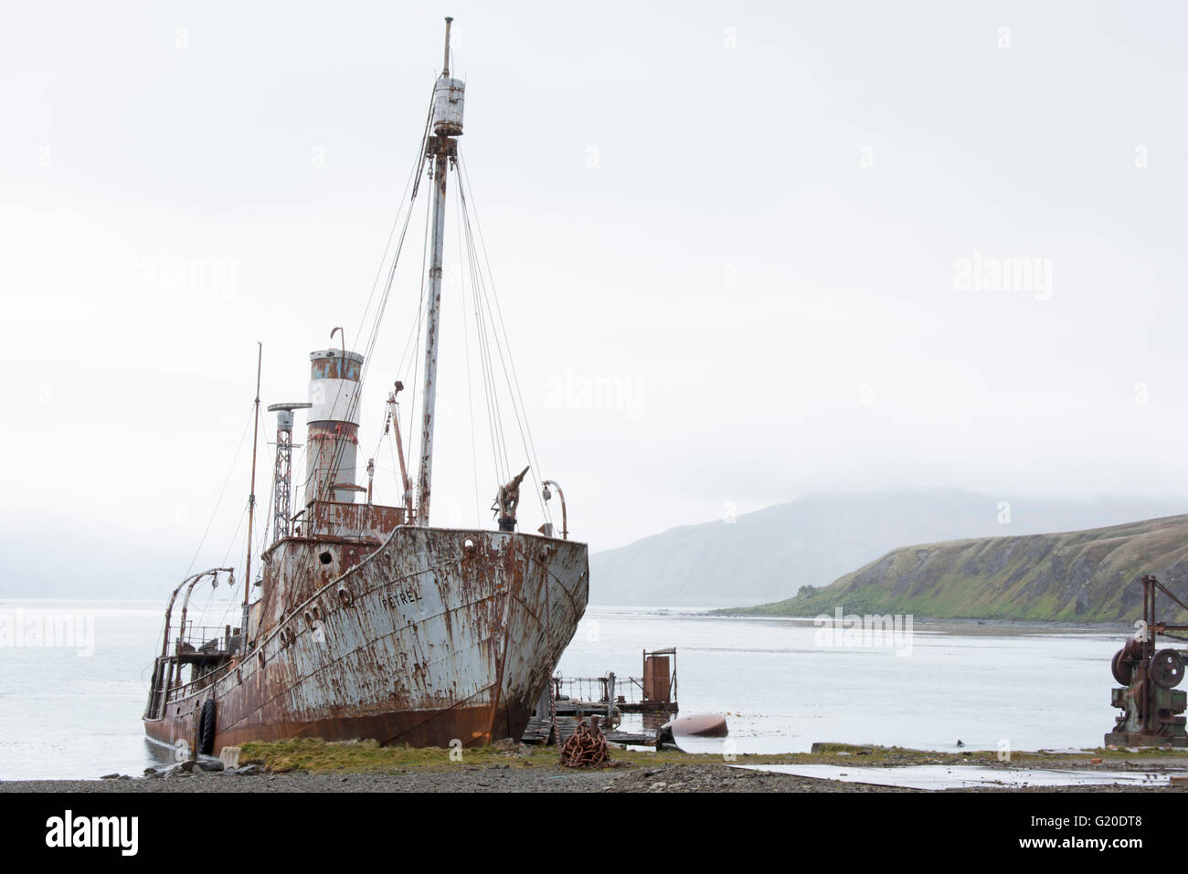 Walfänger Schiffswrack in Grytviken, Südgeorgien. Sturmvogel erbaut im Jahre 1928 in Oslo und Walfang im Jahr 1956 gestoppt Stockfoto