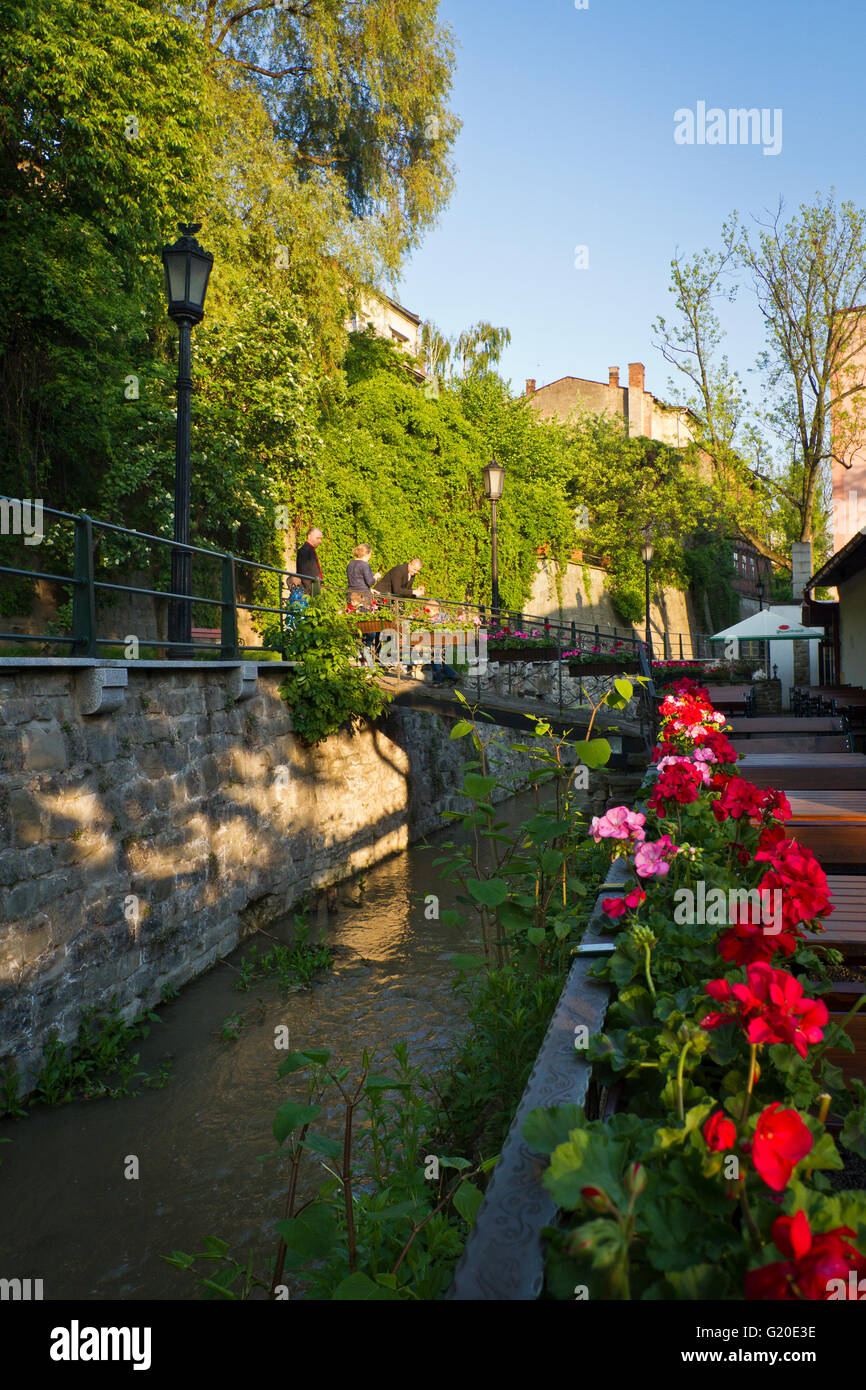 Przykopa Straße in Cieszyn. Eine charmante Gasse neben Mlynowka Kanal - manchmal genannt "Venedig von Teschen". Polen. Stockfoto