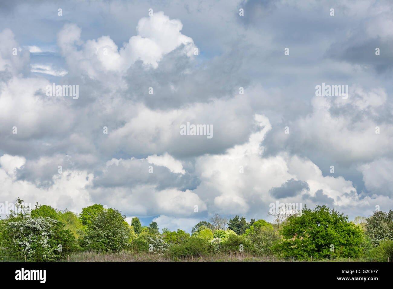 Gewitterwolken über einen englischen Landschaftsgarten, England, UK Stockfoto