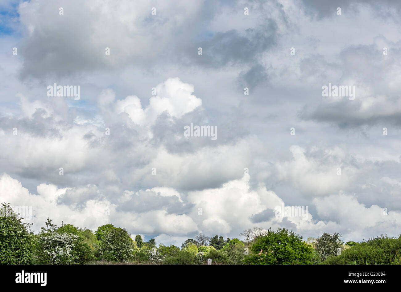 Gewitterwolken über einen englischen Landschaftsgarten, England, UK Stockfoto