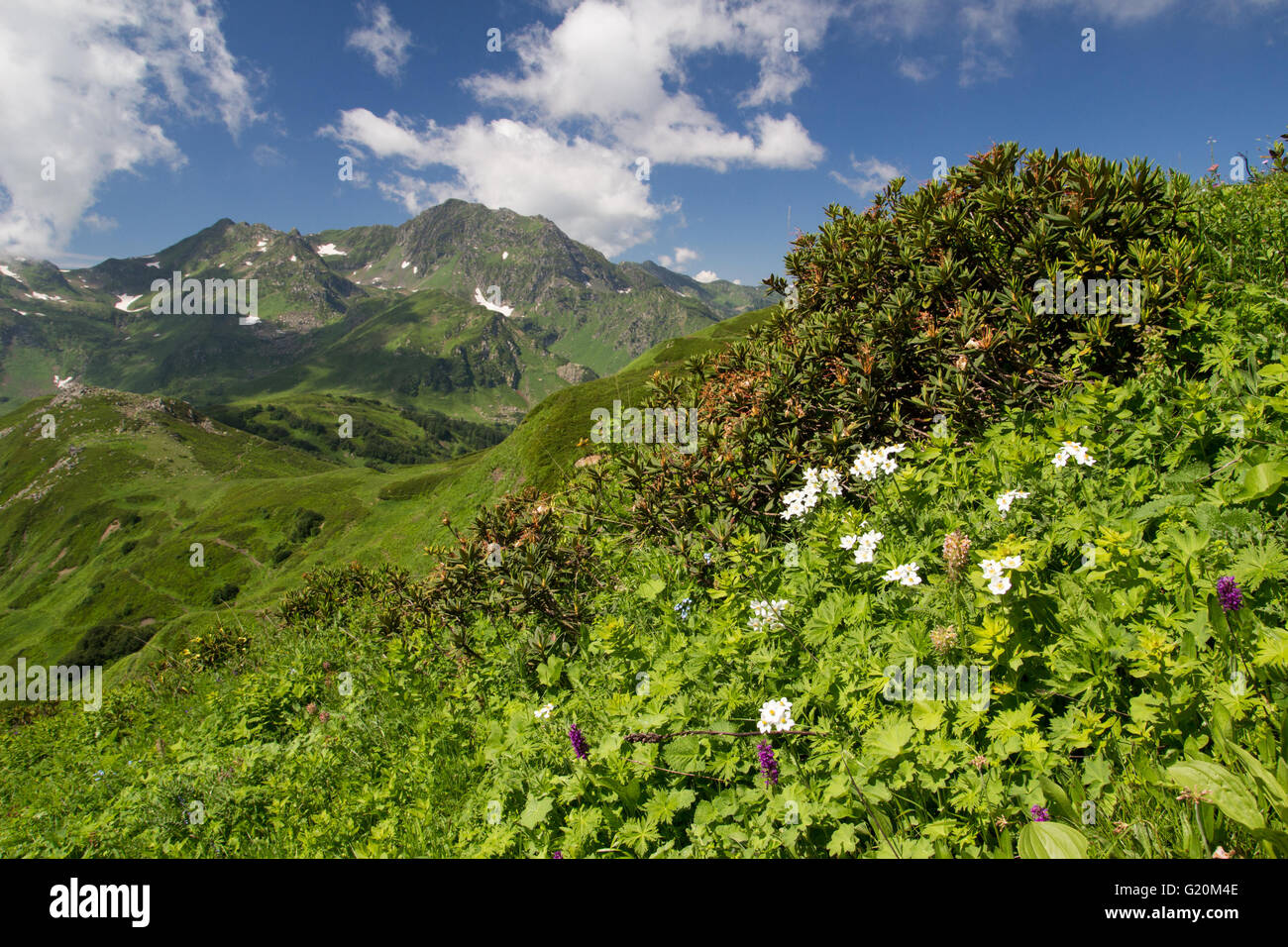 Kaukasus in Georgien Stockfoto