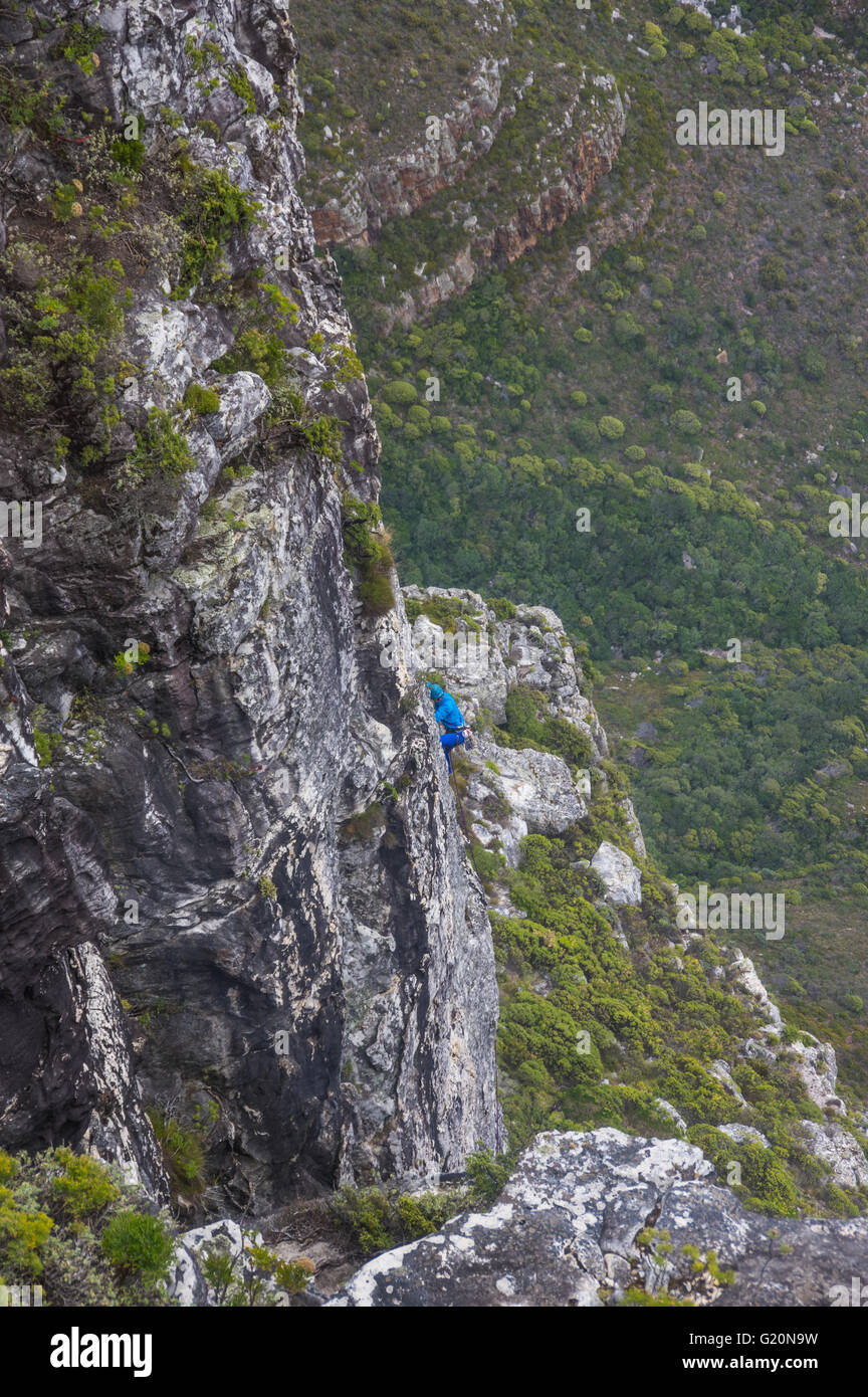 Cape Town South Africa 20. März 2016 Kletterer steigt die Felswand am Tafelberg Stockfoto