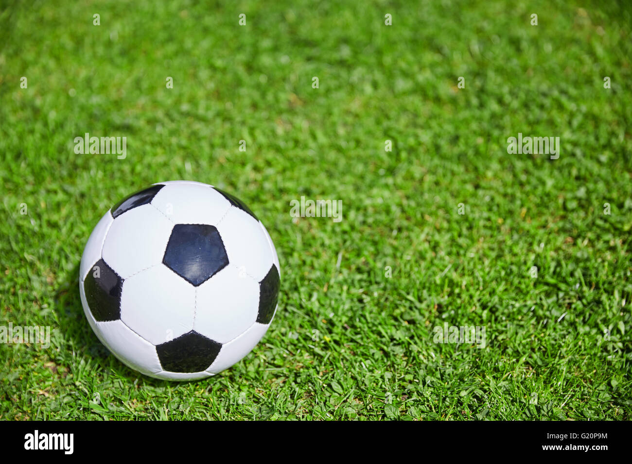 Fußball auf dem grünen Rasen des Fußballplatzes liegend Stockfoto