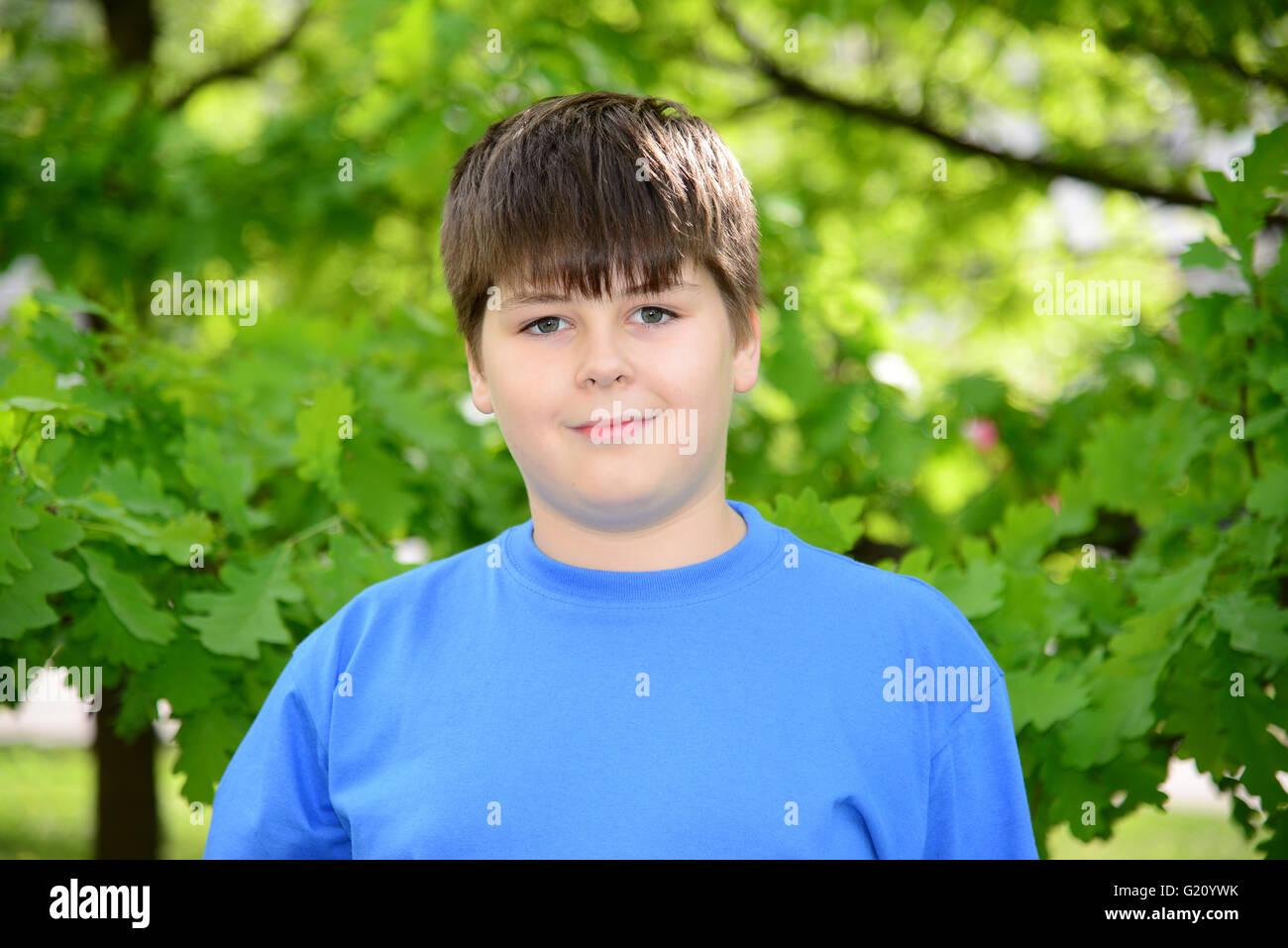 Porträt eines jungen von etwa 12 Jahren in Oak Park Stockfoto