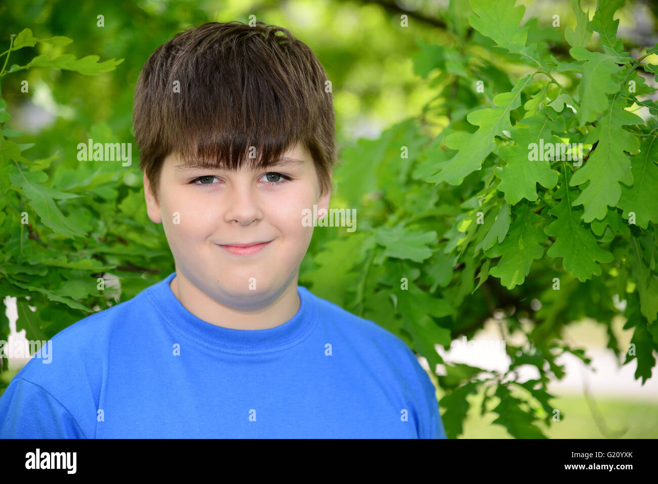 Porträt eines jungen von etwa 12 Jahren in Oak Park Stockfoto