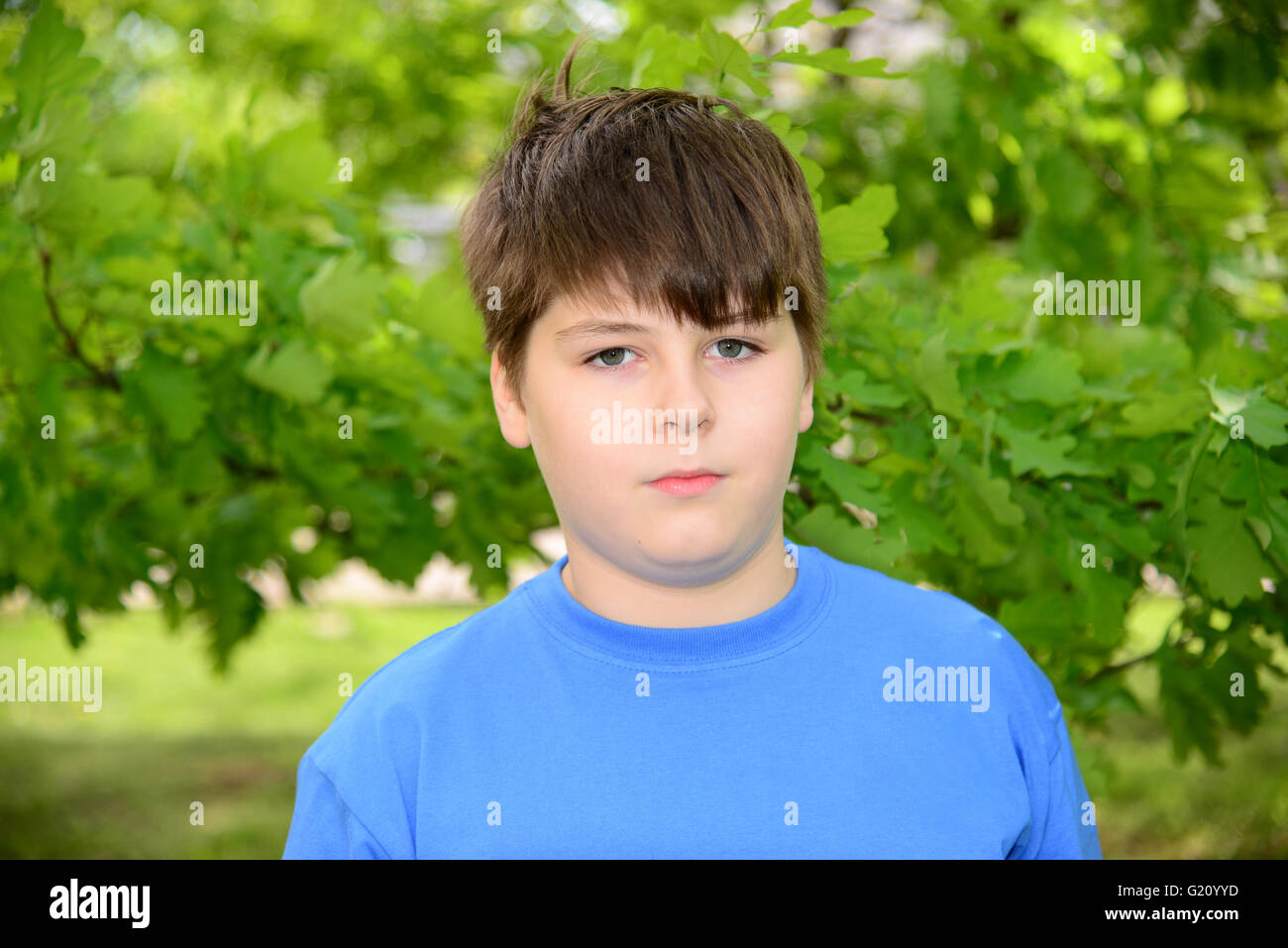 Porträt eines jungen von etwa 12 Jahren in Oak Park Stockfoto