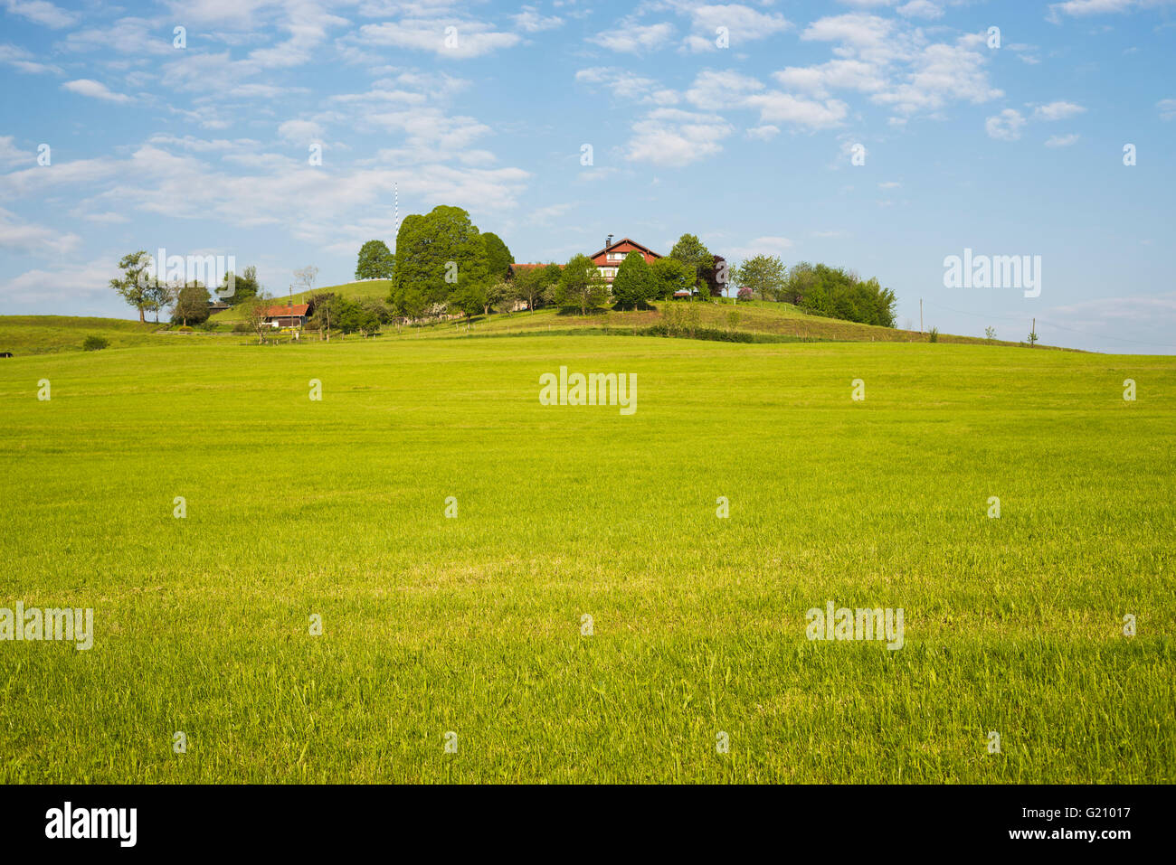 Bauernhäuser auf einer Anhöhe in Oberbayern, umgeben von blühenden Wiesen an einem sonnigen Frühlingsmorgen im Frühjahr, Bayern, Deutschland Stockfoto