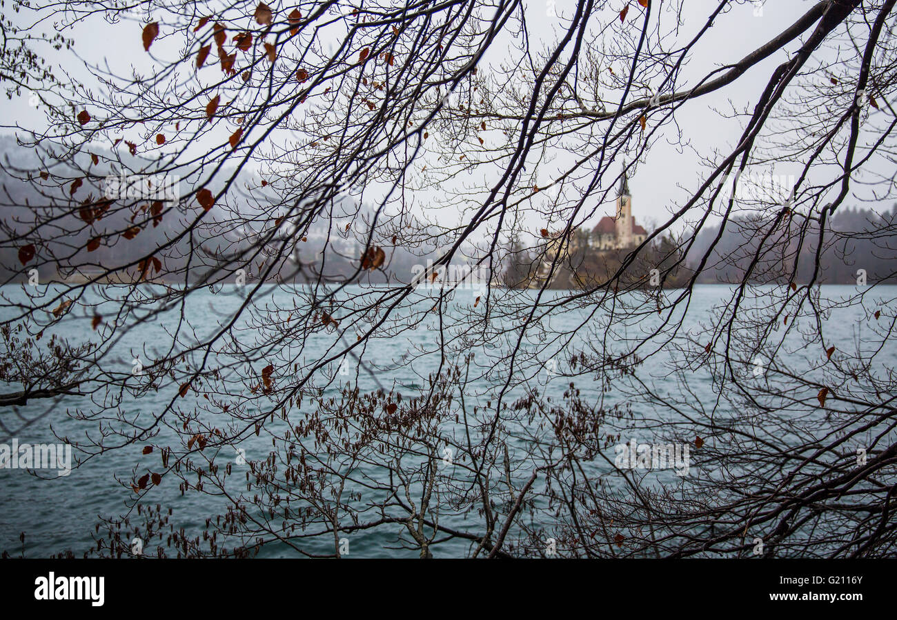 Berühmten Blick auf die Insel mit der Kirche in der Mitte des Sees Bled durch die Blätter der Bäume. Stockfoto