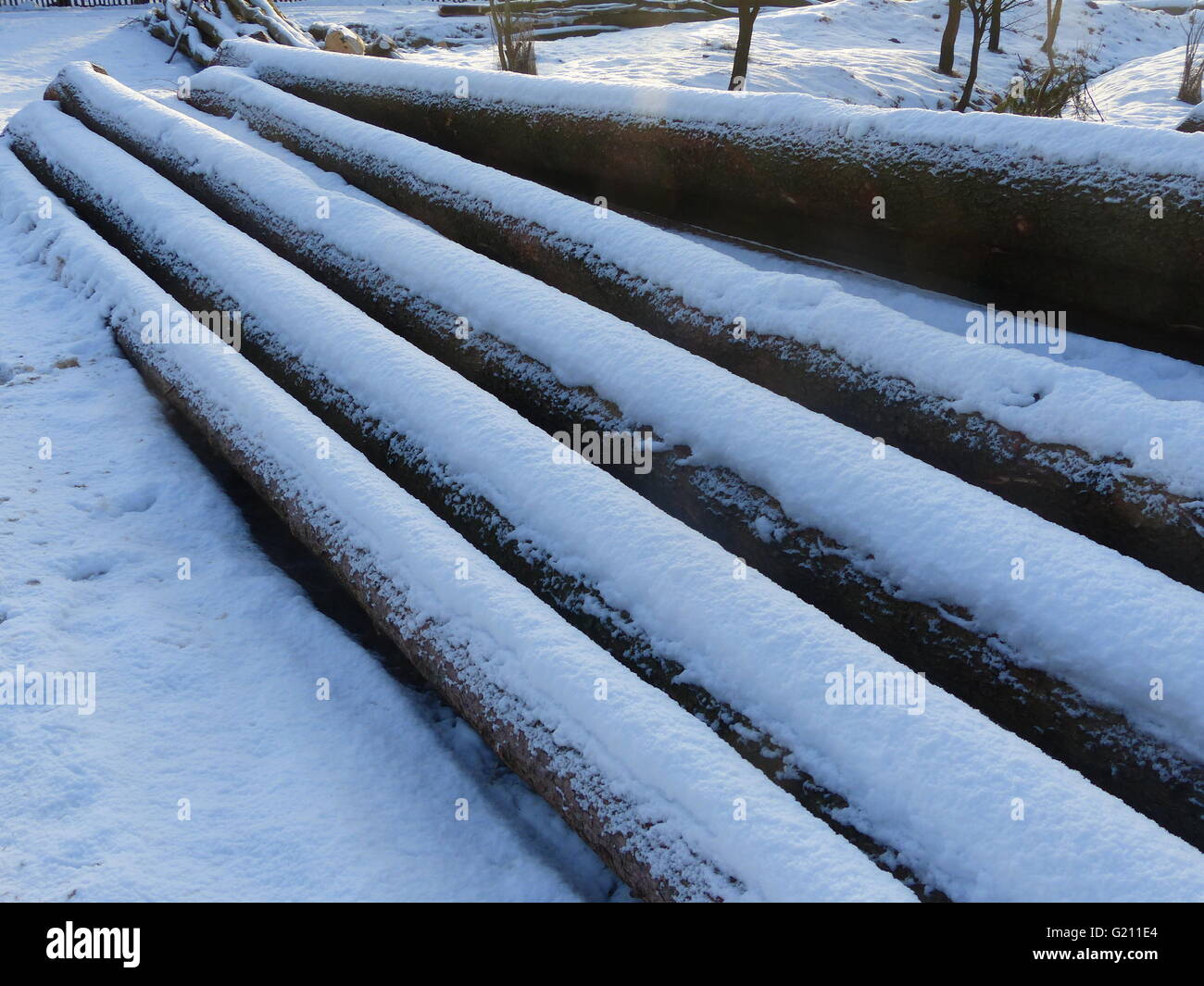 Tschechische Republik, Poldovka. Protokolle von frisch gefällten Fichte Protokolle mit Schnee bedeckt Stockfoto