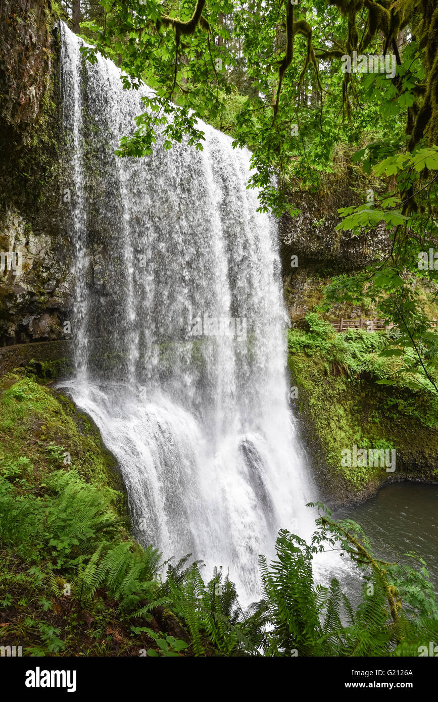 Lower South Falls, Silver Falls State Park, Oregon. Stockfoto