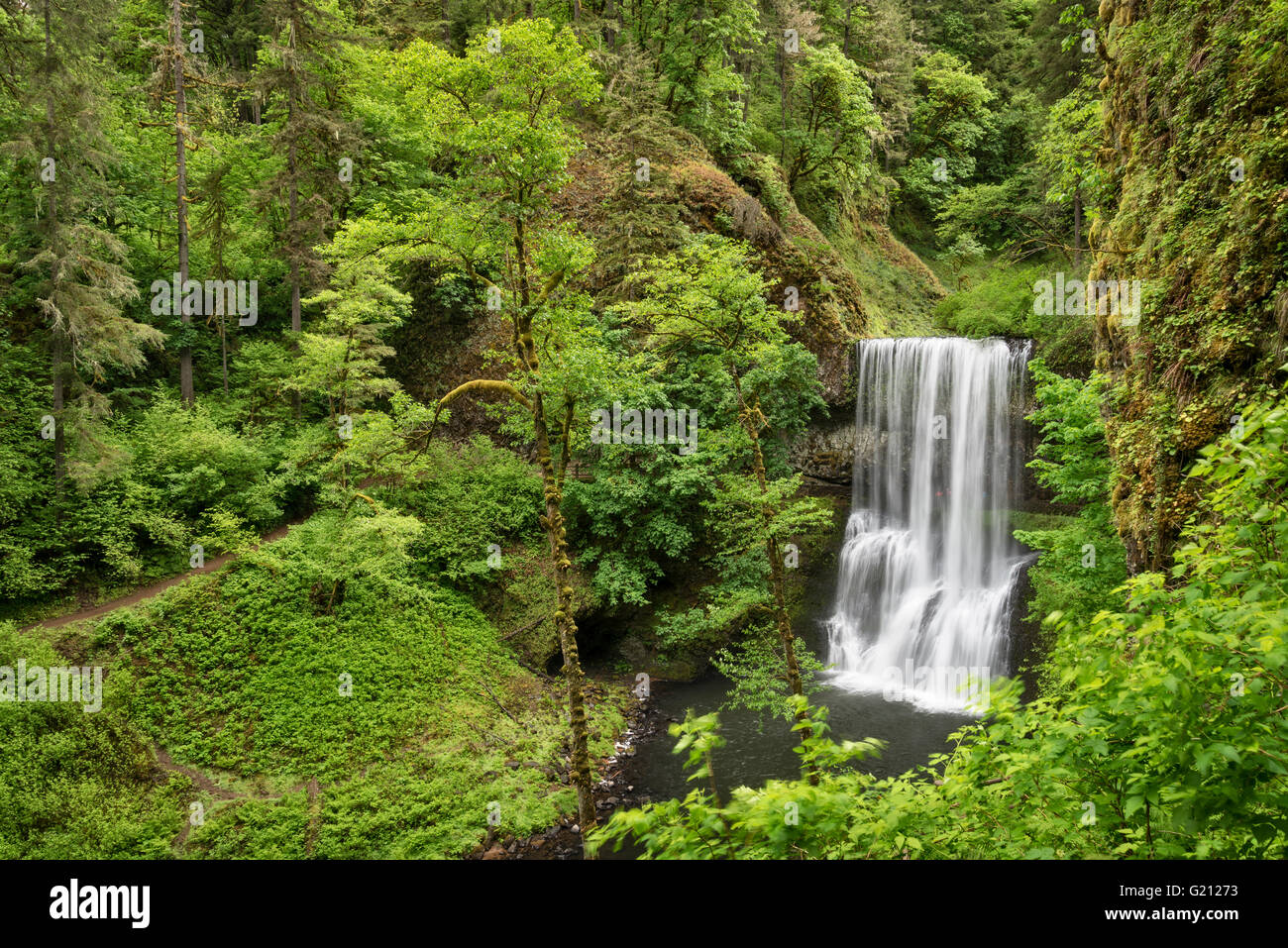 Lower South Falls und zehn Falls Trail, Silver Falls State Park, Oregon. Stockfoto