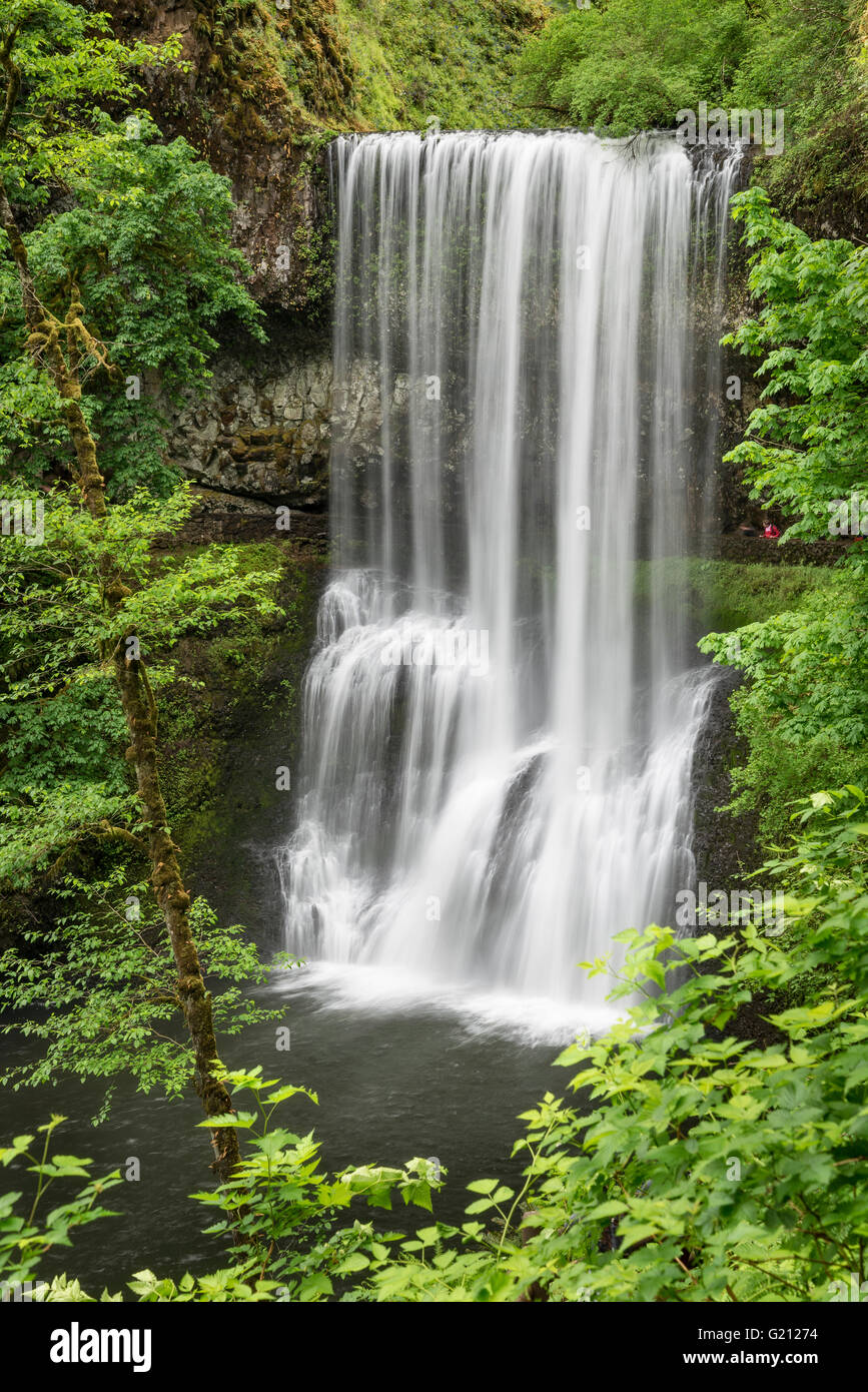 Lower South Falls mit Wanderer am Weg hinter dem Wasserfall; Silver Falls State Park, Oregon. Stockfoto