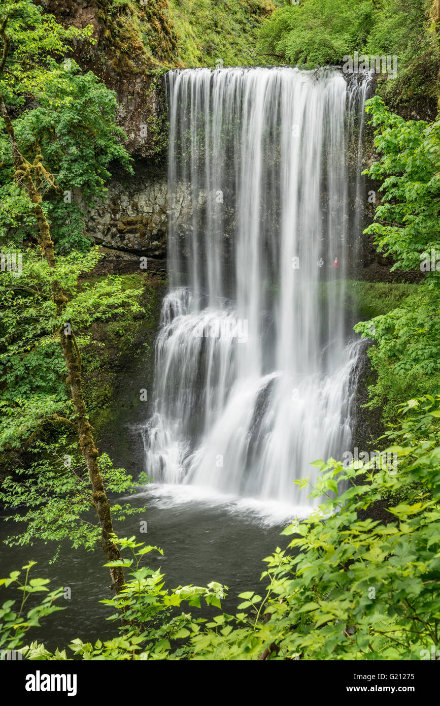 Lower South Falls, mit Wanderer am Weg hinter dem Wasserfall; Silver Falls State Park, Oregon. Stockfoto